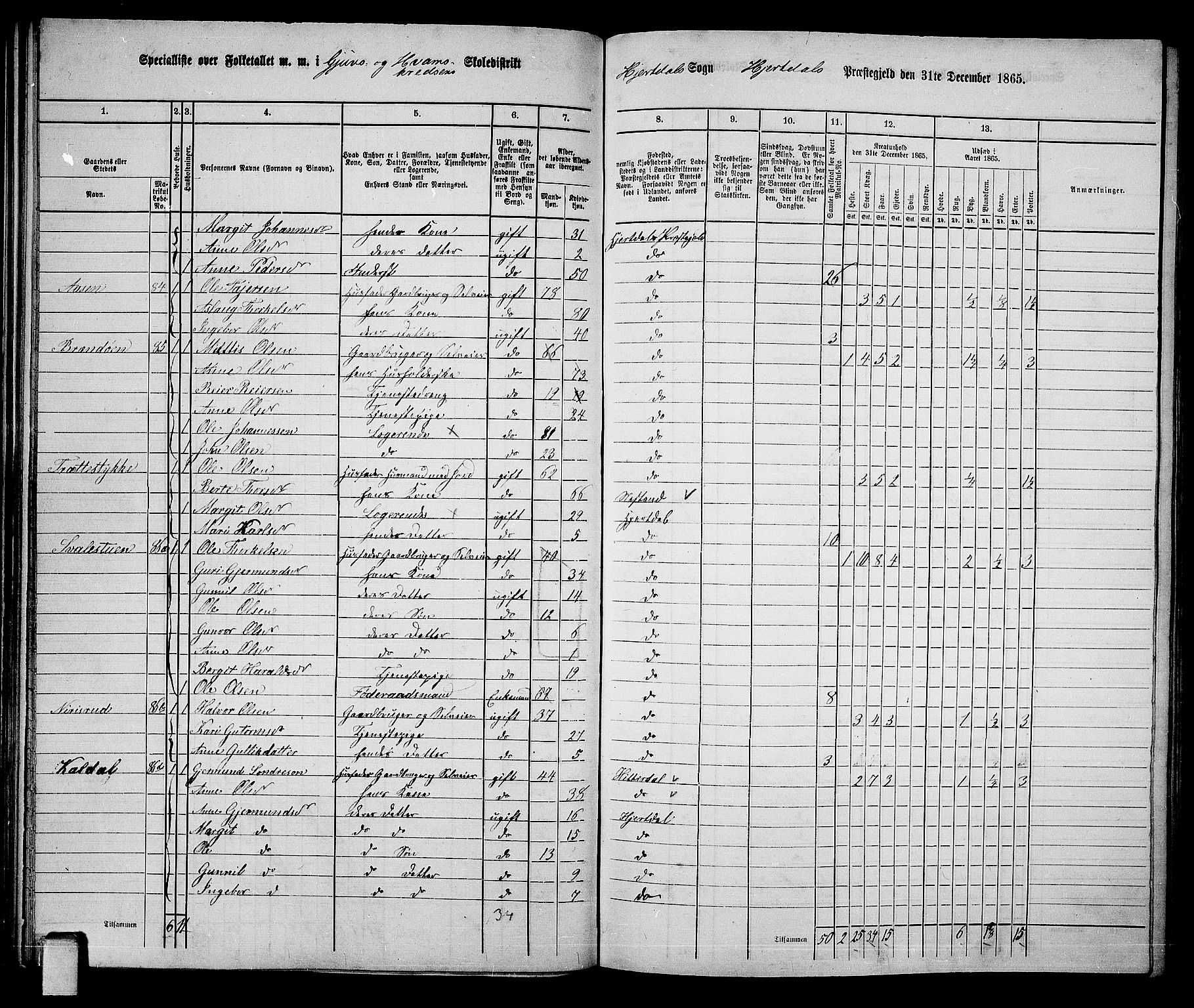 RA, 1865 census for Hjartdal, 1865, p. 40