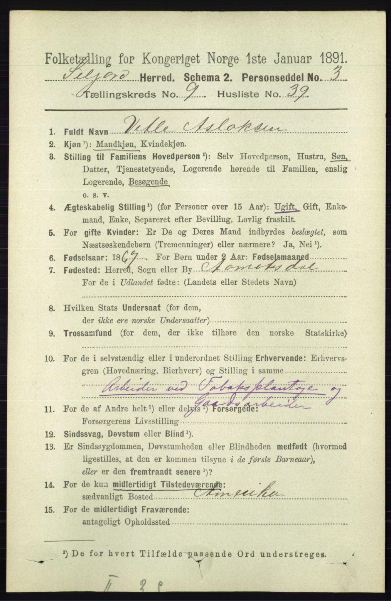 RA, 1891 census for 0828 Seljord, 1891, p. 3384