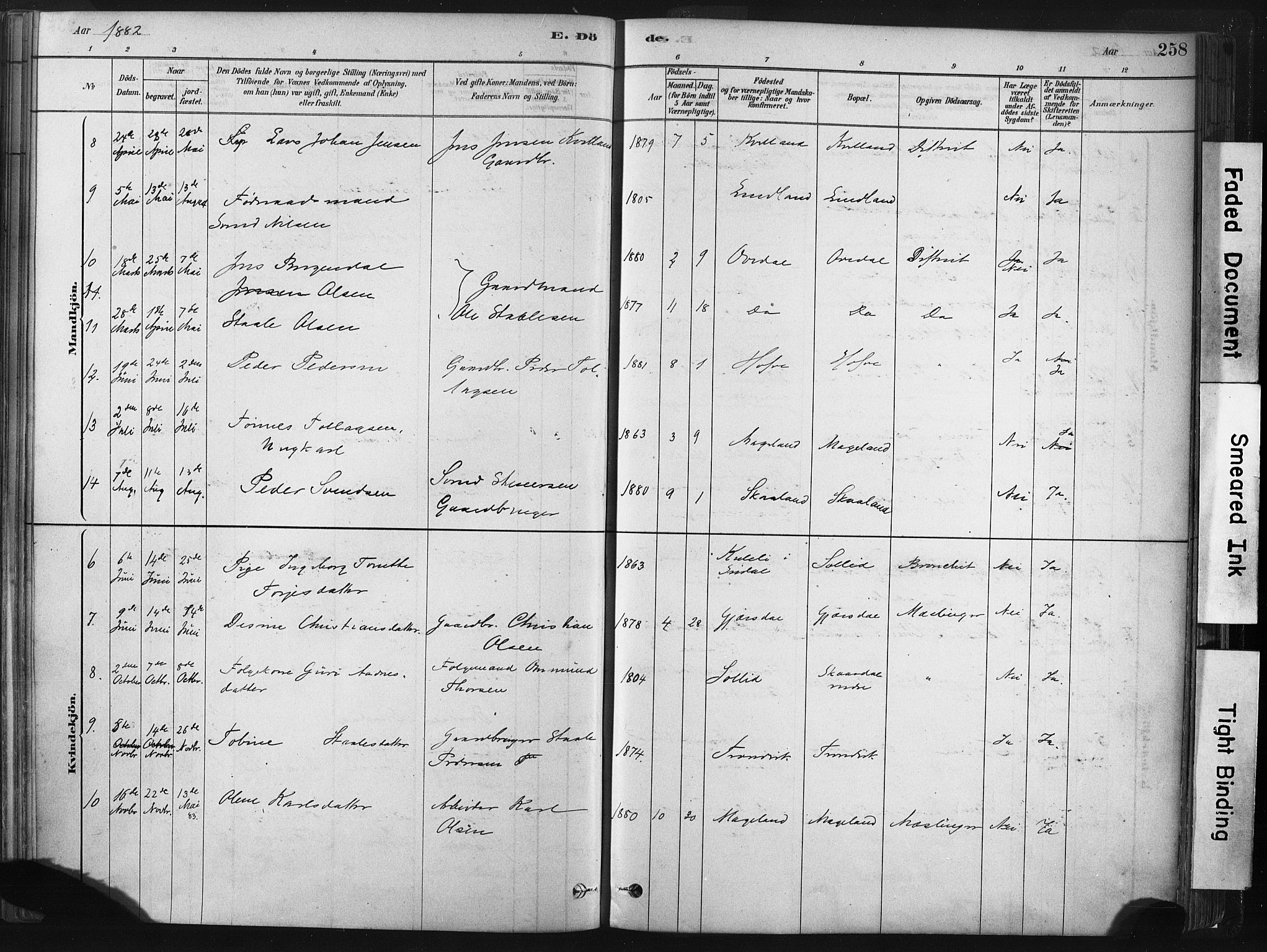 Lund sokneprestkontor, SAST/A-101809/S06/L0011: Parish register (official) no. A 10, 1877-1904, p. 258