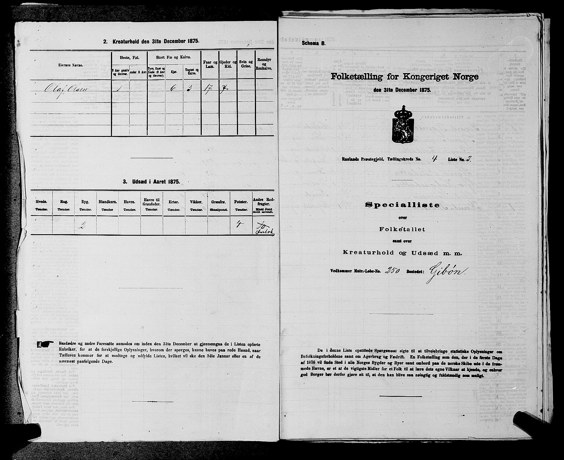 SAKO, 1875 census for 0835P Rauland, 1875, p. 227