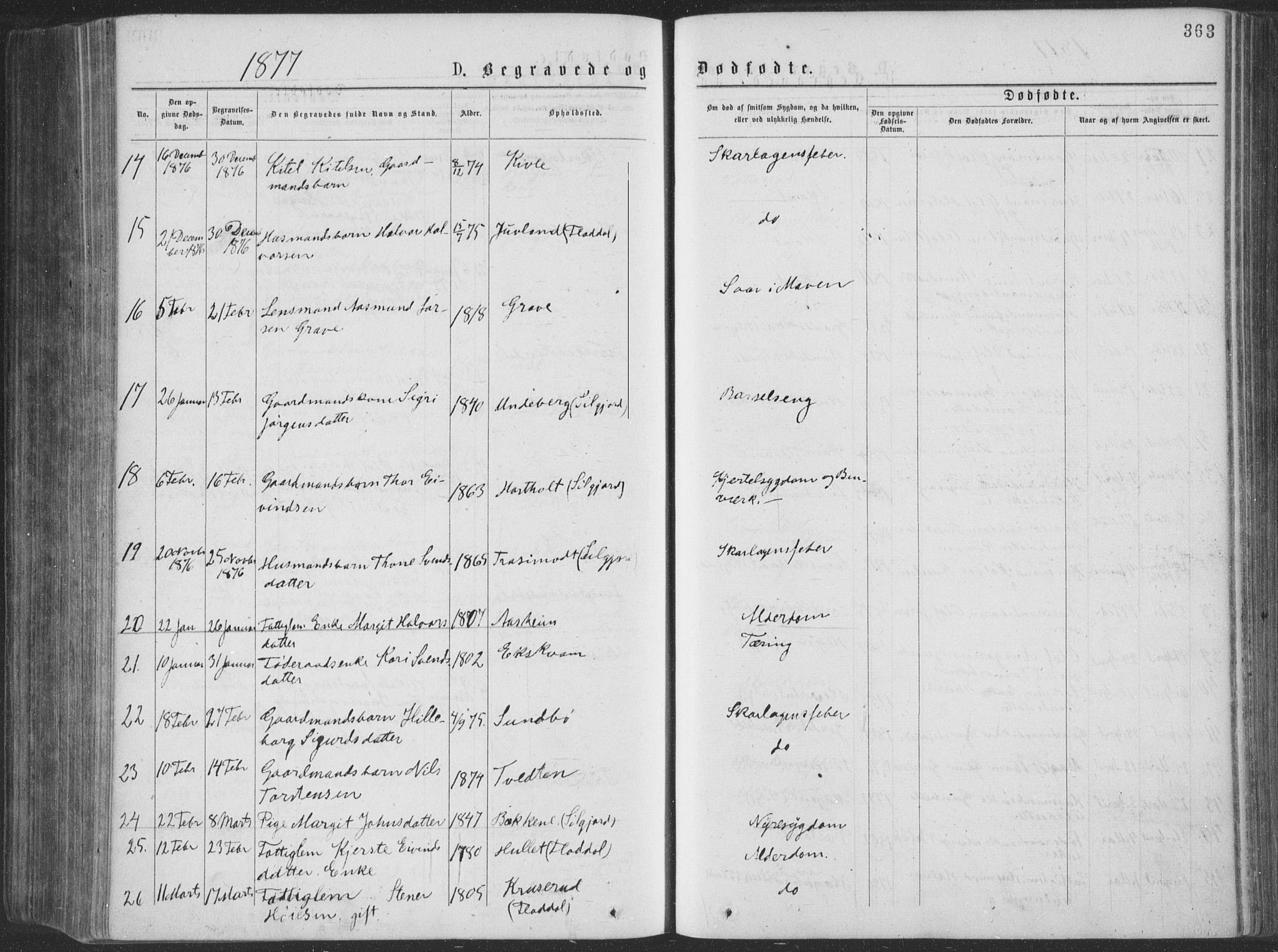 Seljord kirkebøker, SAKO/A-20/F/Fa/L0014: Parish register (official) no. I 14, 1877-1886, p. 363