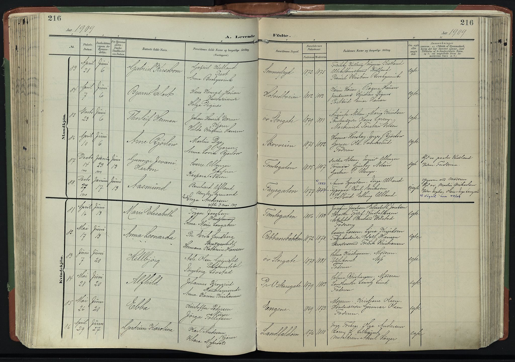 Bragernes kirkebøker, SAKO/A-6/F/Fb/L0009: Parish register (official) no. II 9, 1902-1911, p. 216