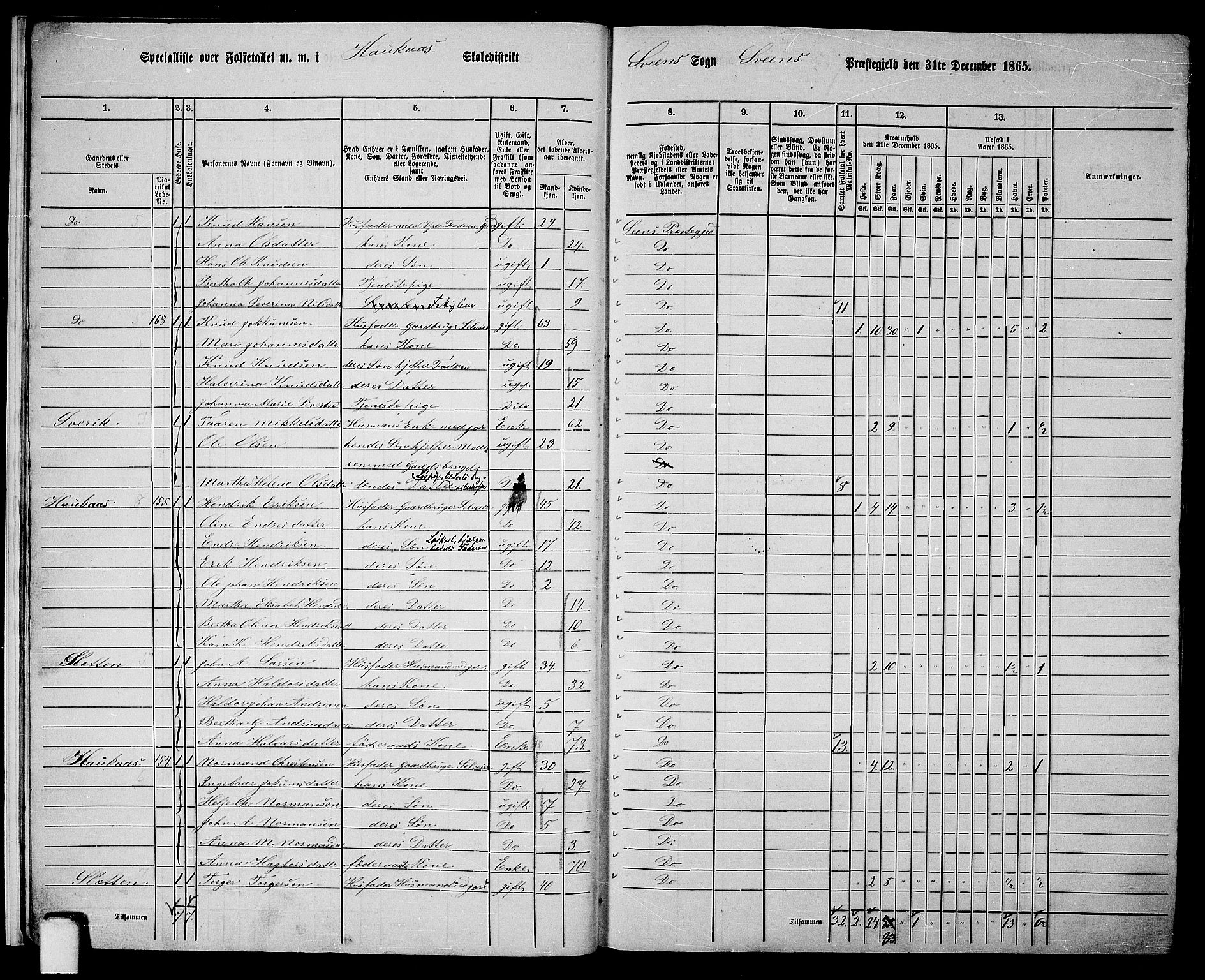 RA, 1865 census for Sveio, 1865, p. 12