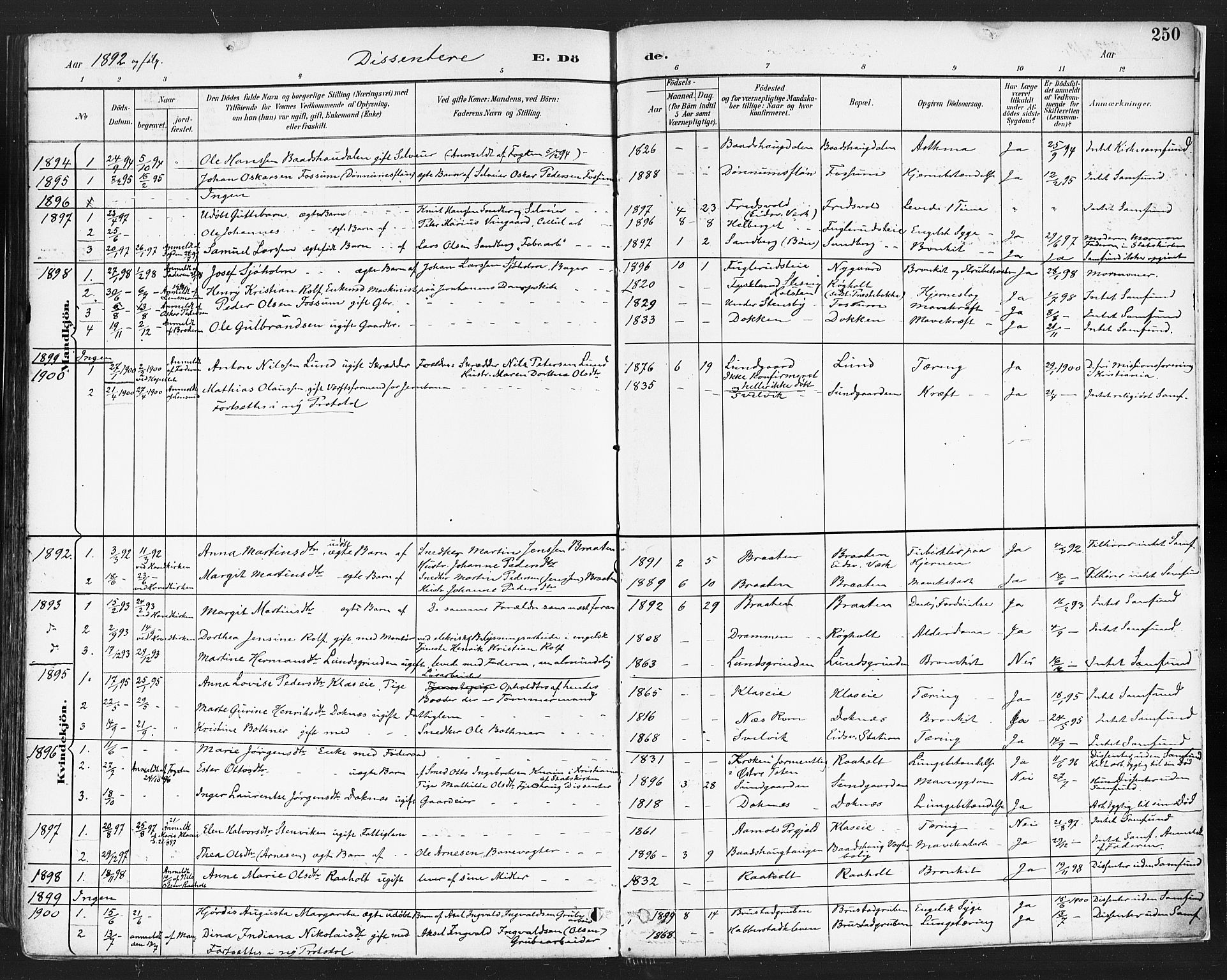 Eidsvoll prestekontor Kirkebøker, SAO/A-10888/F/Fa/L0004: Parish register (official) no. I 4, 1891-1900, p. 250