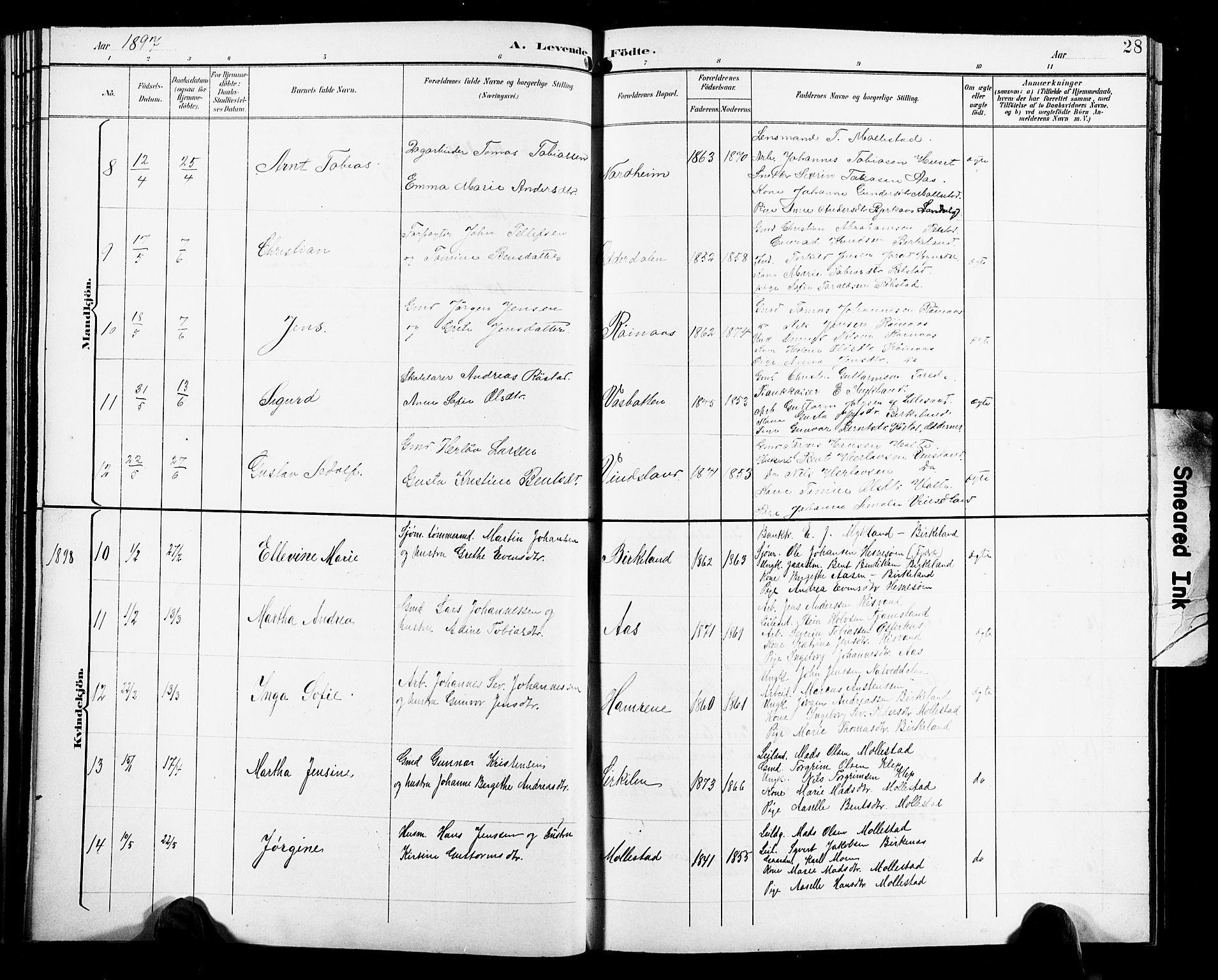 Birkenes sokneprestkontor, AV/SAK-1111-0004/F/Fb/L0004: Parish register (copy) no. B 4, 1893-1930, p. 28