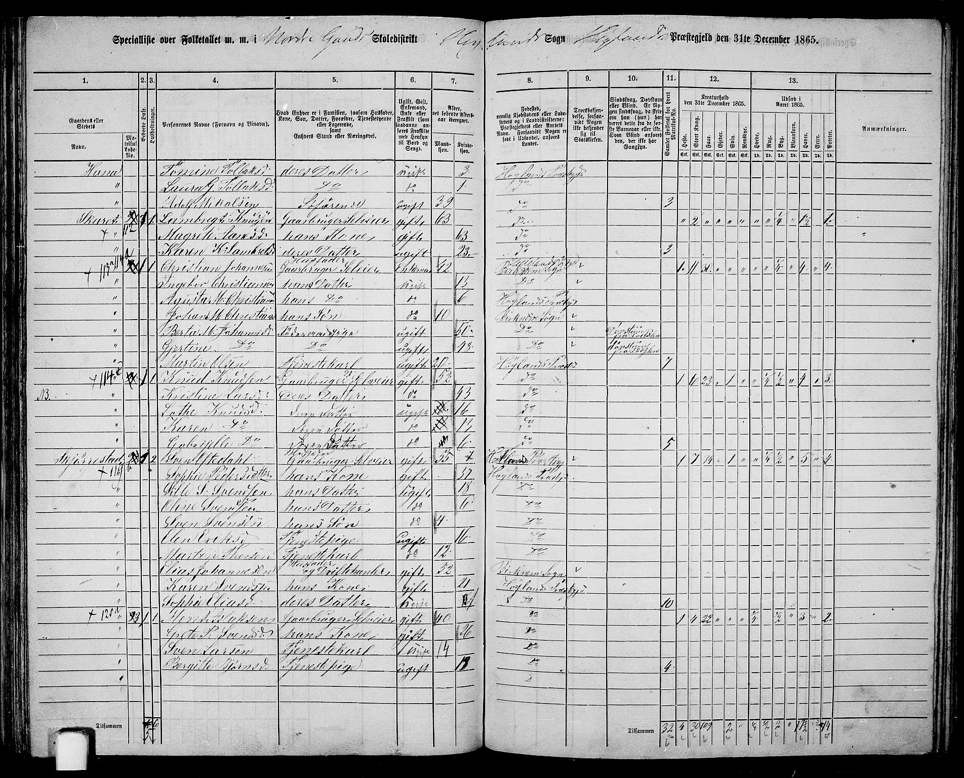 RA, 1865 census for Høyland, 1865, p. 85