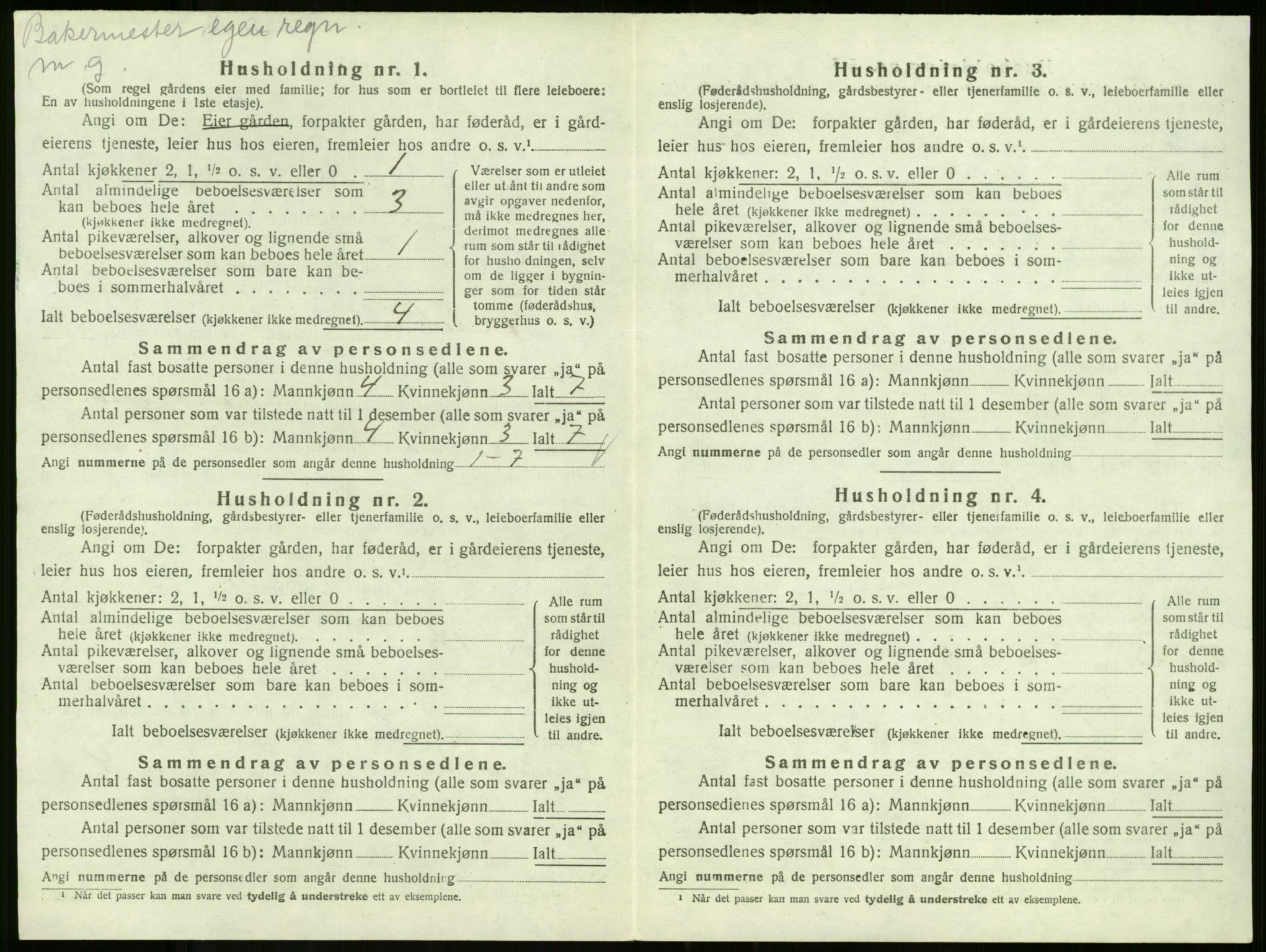 SAKO, 1920 census for Andebu, 1920, p. 1029