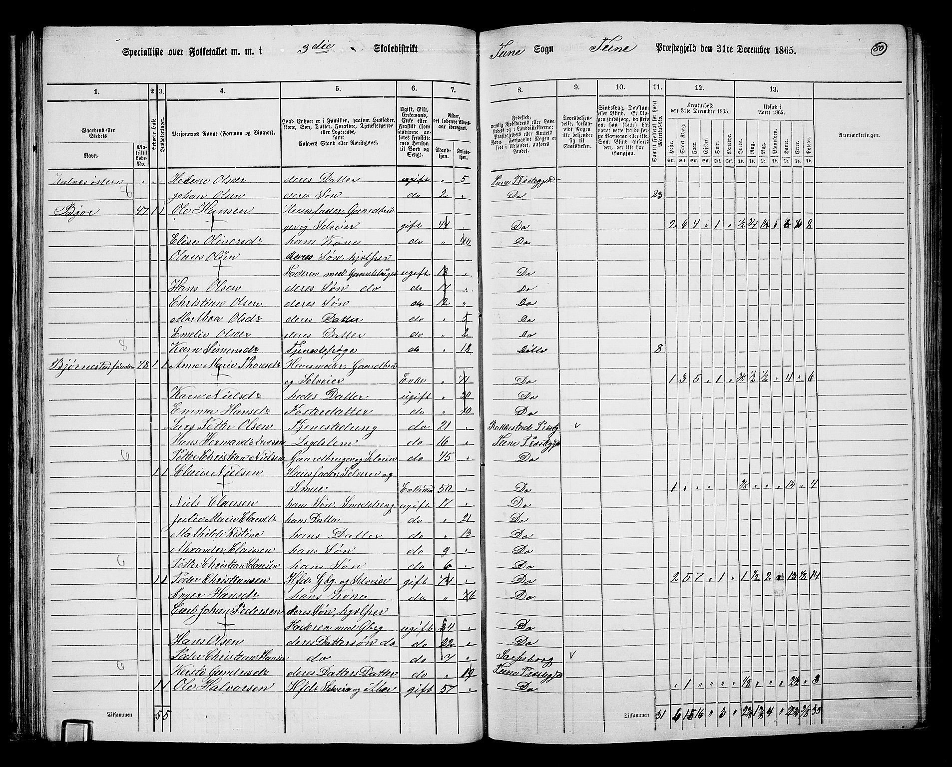 RA, 1865 census for Tune, 1865, p. 73