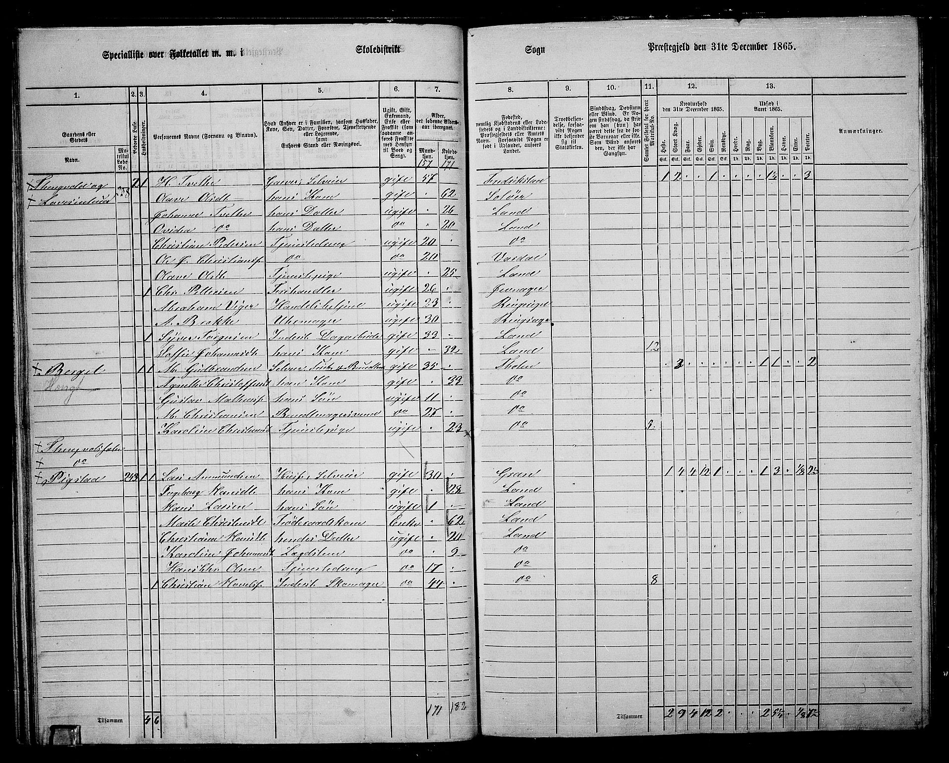 RA, 1865 census for Land, 1865, p. 254