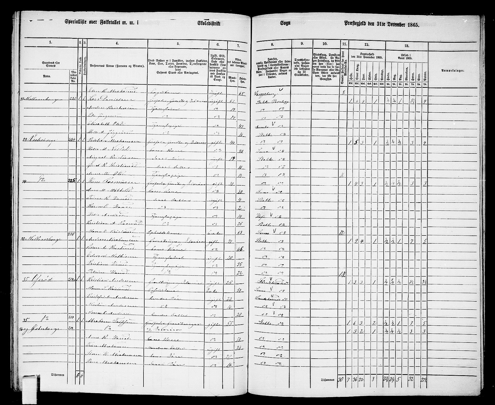 RA, 1865 census for Stokke, 1865, p. 147