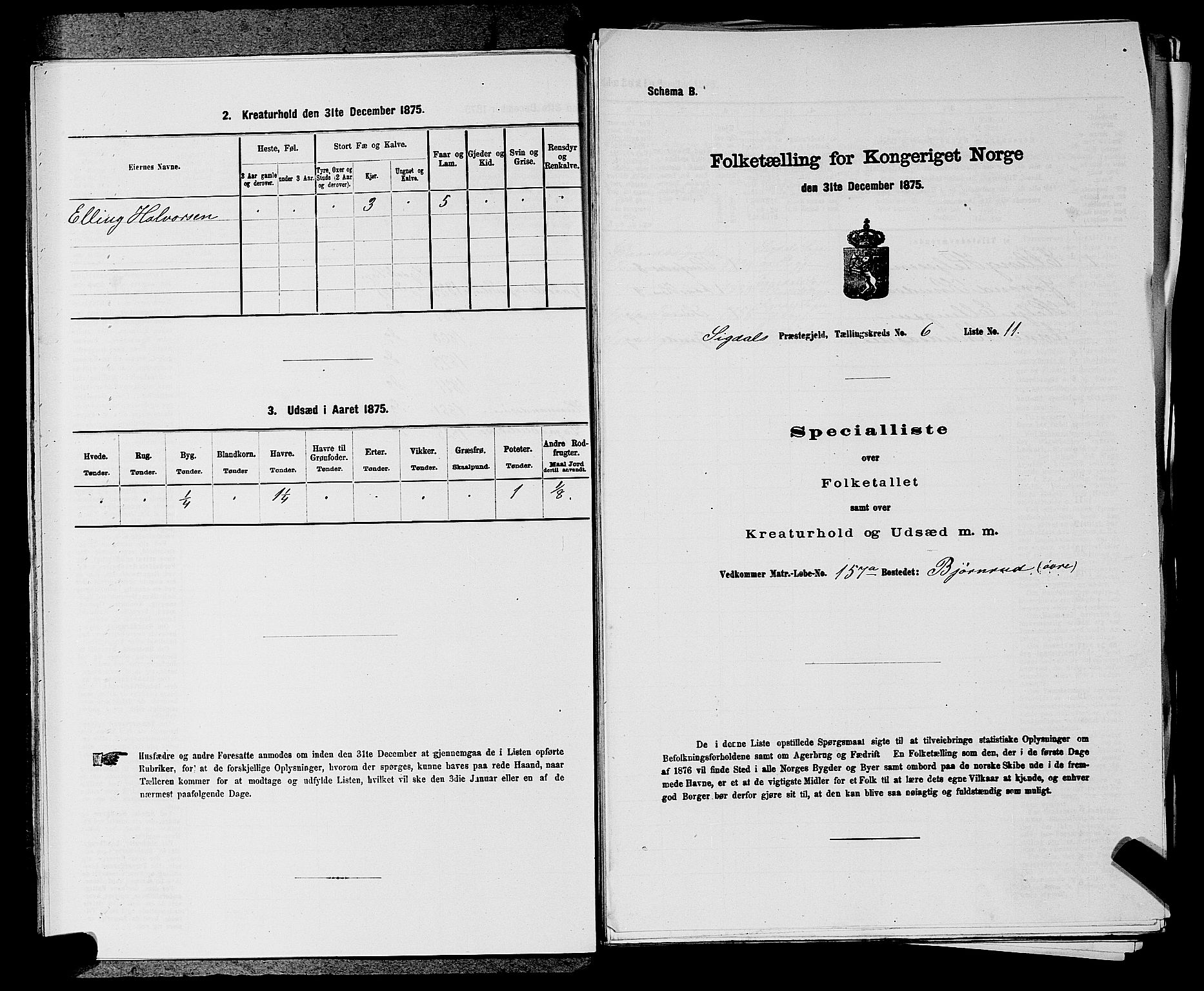 SAKO, 1875 census for 0621P Sigdal, 1875, p. 871