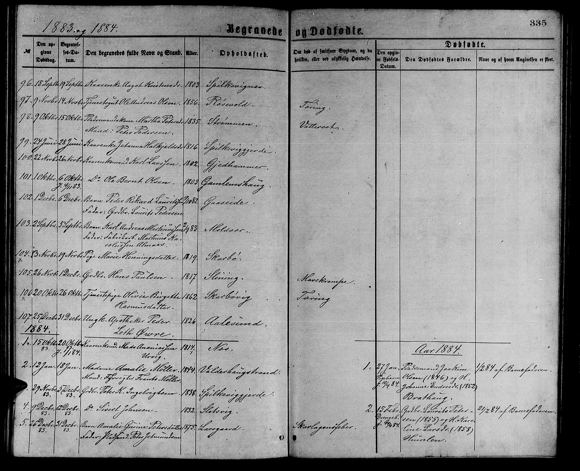 Ministerialprotokoller, klokkerbøker og fødselsregistre - Møre og Romsdal, AV/SAT-A-1454/528/L0429: Parish register (copy) no. 528C10, 1872-1886, p. 335