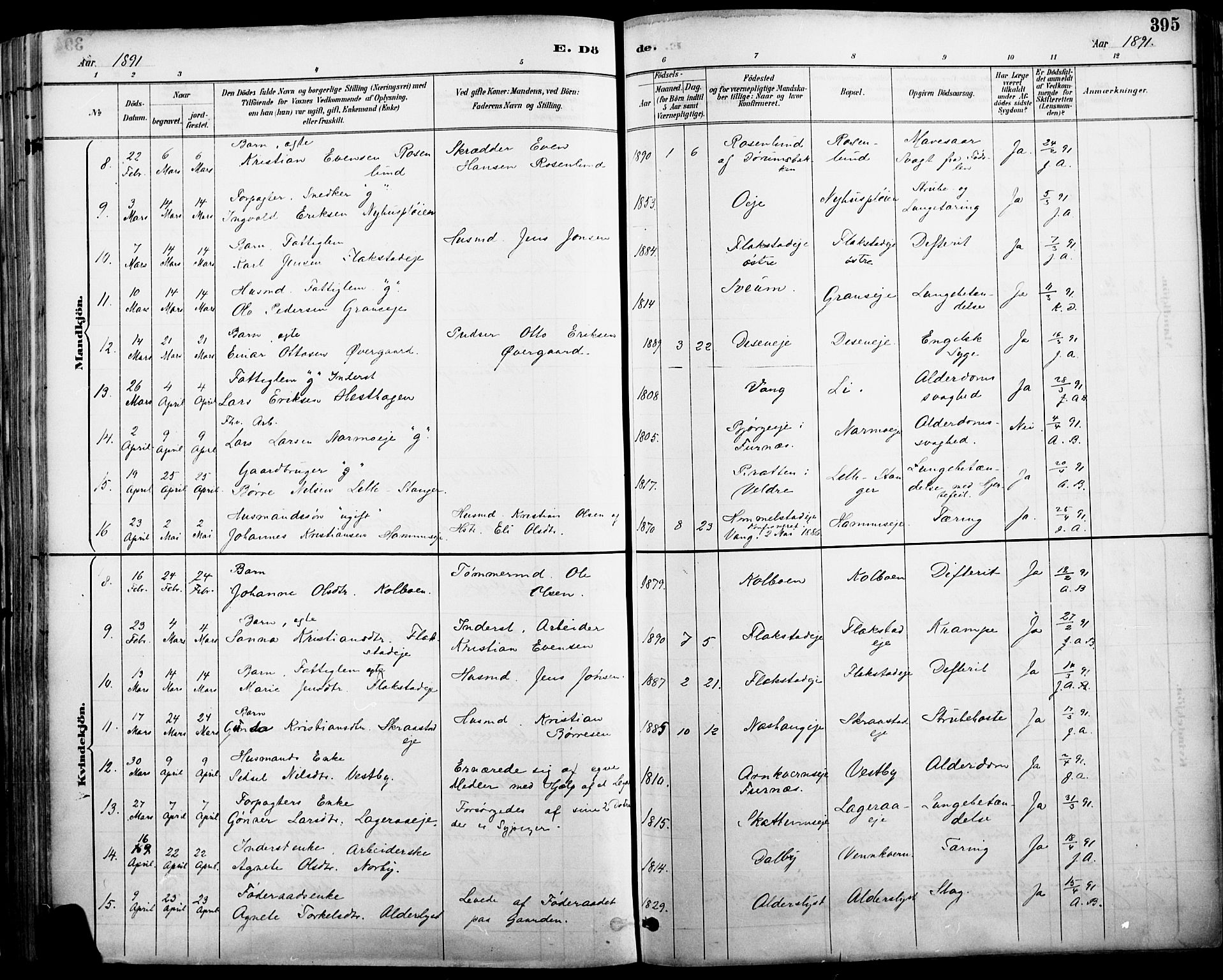 Vang prestekontor, Hedmark, AV/SAH-PREST-008/H/Ha/Haa/L0019A: Parish register (official) no. 19, 1886-1900, p. 395