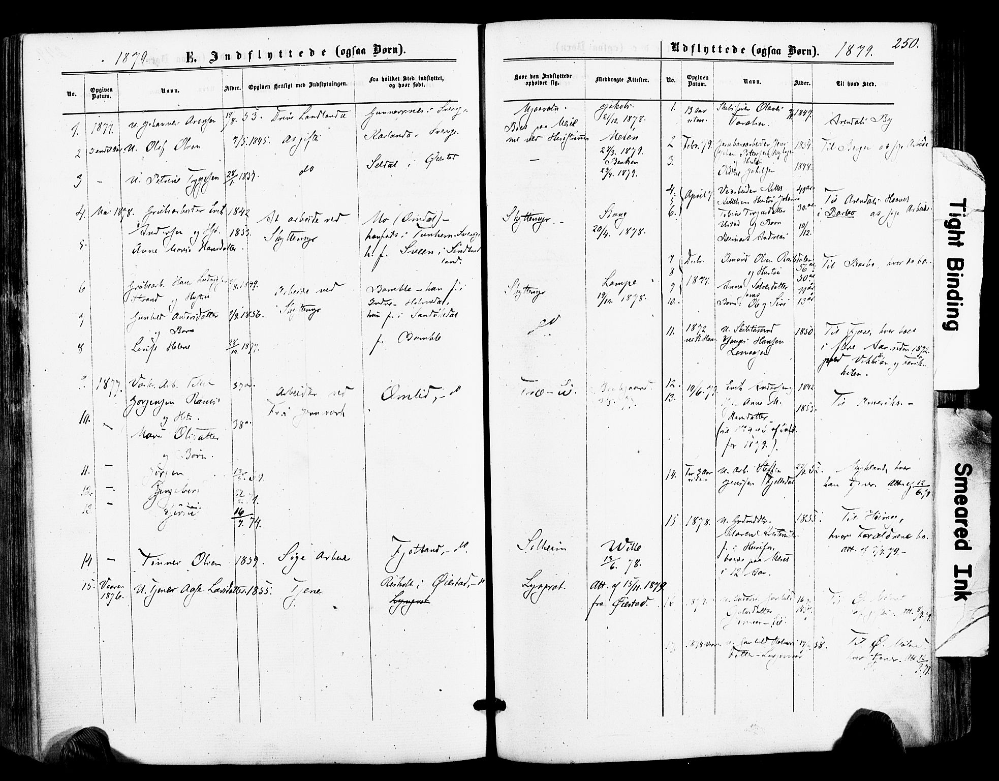 Froland sokneprestkontor, AV/SAK-1111-0013/F/Fa/L0003: Parish register (official) no. A 3, 1864-1881, p. 250