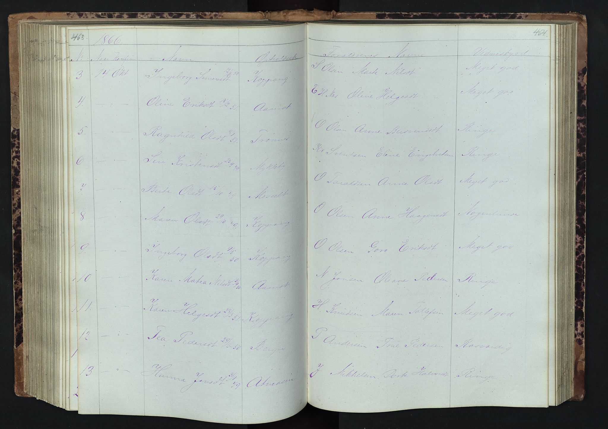 Stor-Elvdal prestekontor, SAH/PREST-052/H/Ha/Hab/L0001: Parish register (copy) no. 1 /1, 1860-1894, p. 463-464