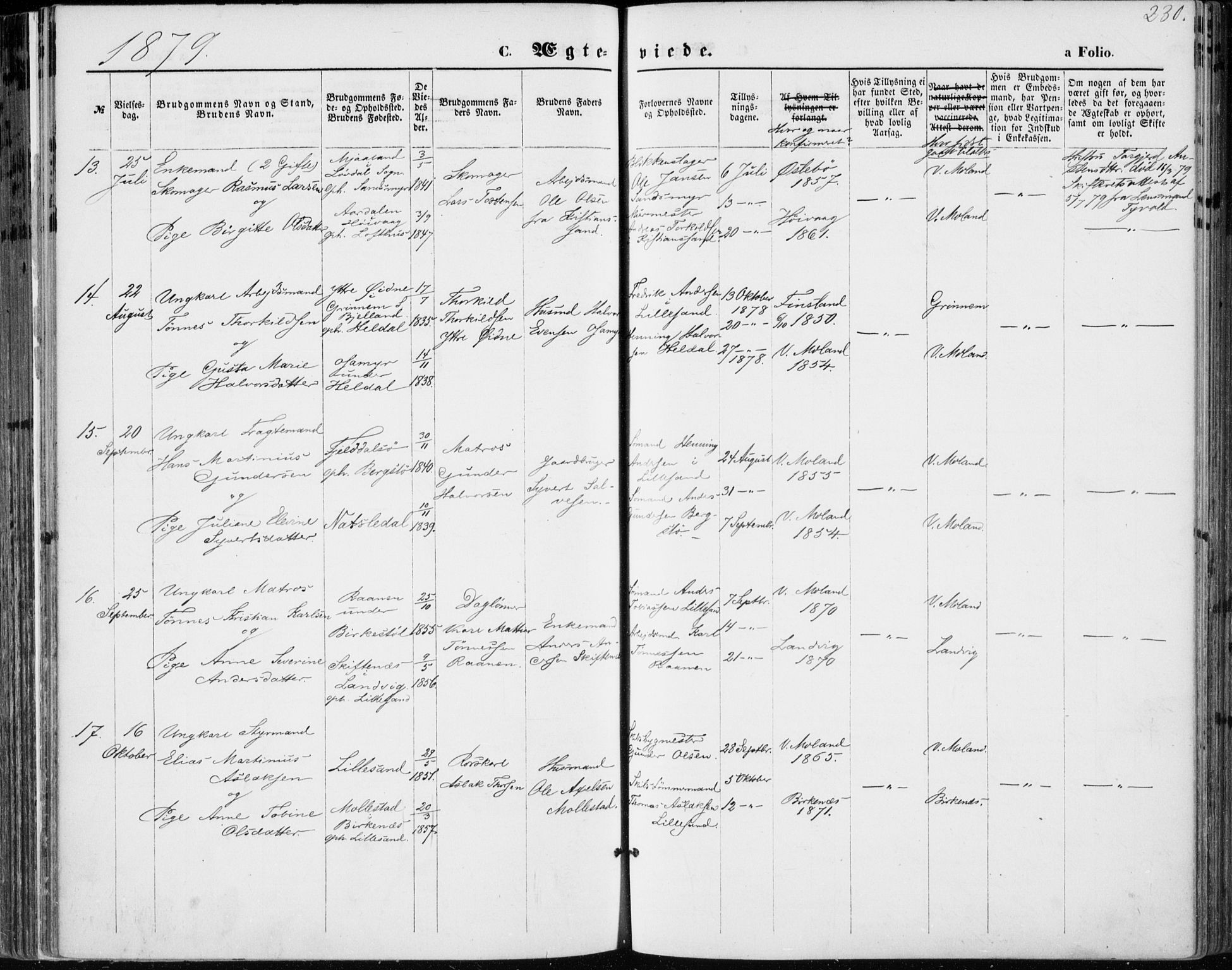 Vestre Moland sokneprestkontor, AV/SAK-1111-0046/F/Fa/Fab/L0008: Parish register (official) no. A 8, 1873-1883, p. 230