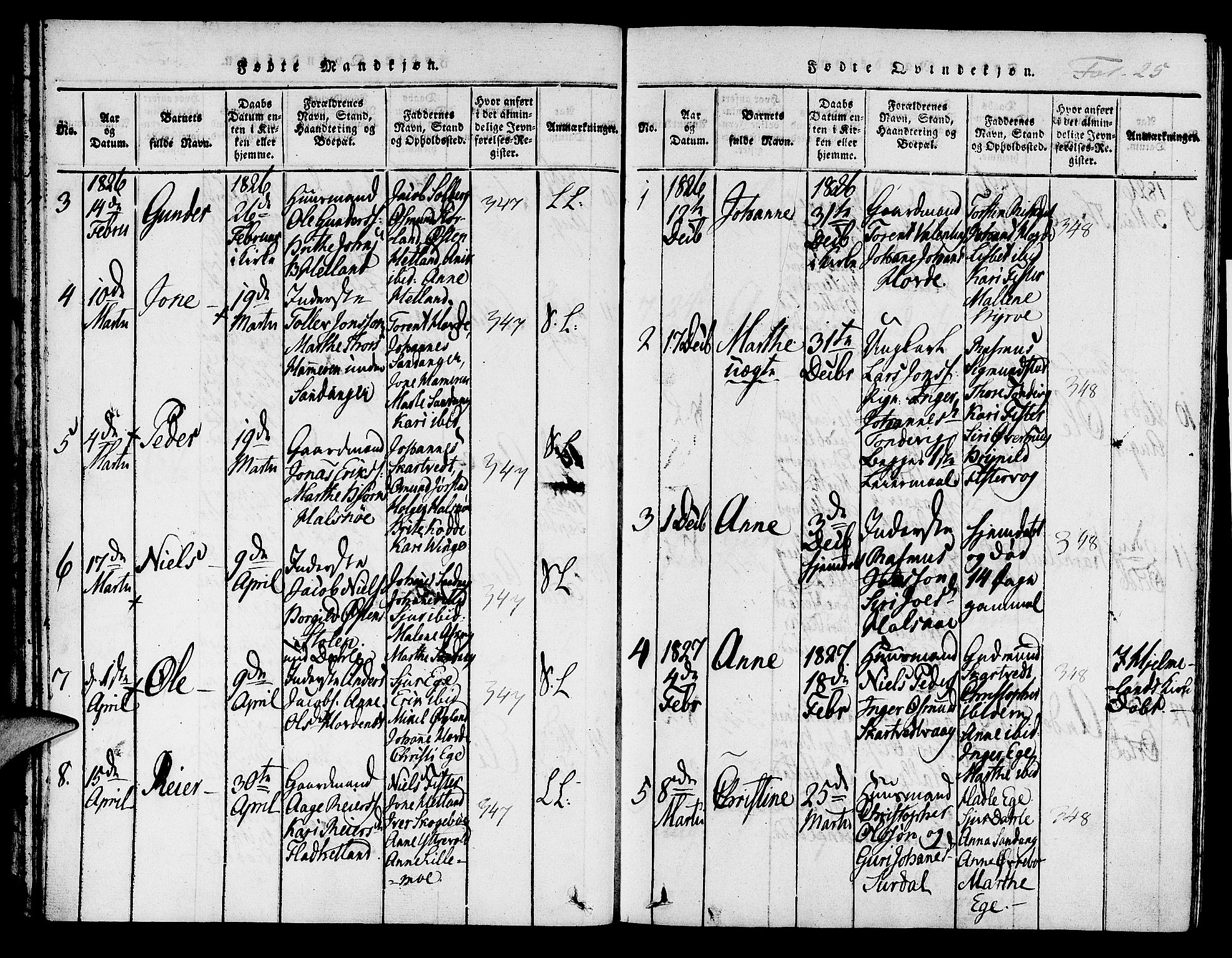 Hjelmeland sokneprestkontor, SAST/A-101843/01/IV/L0004: Parish register (official) no. A 4, 1816-1834, p. 25