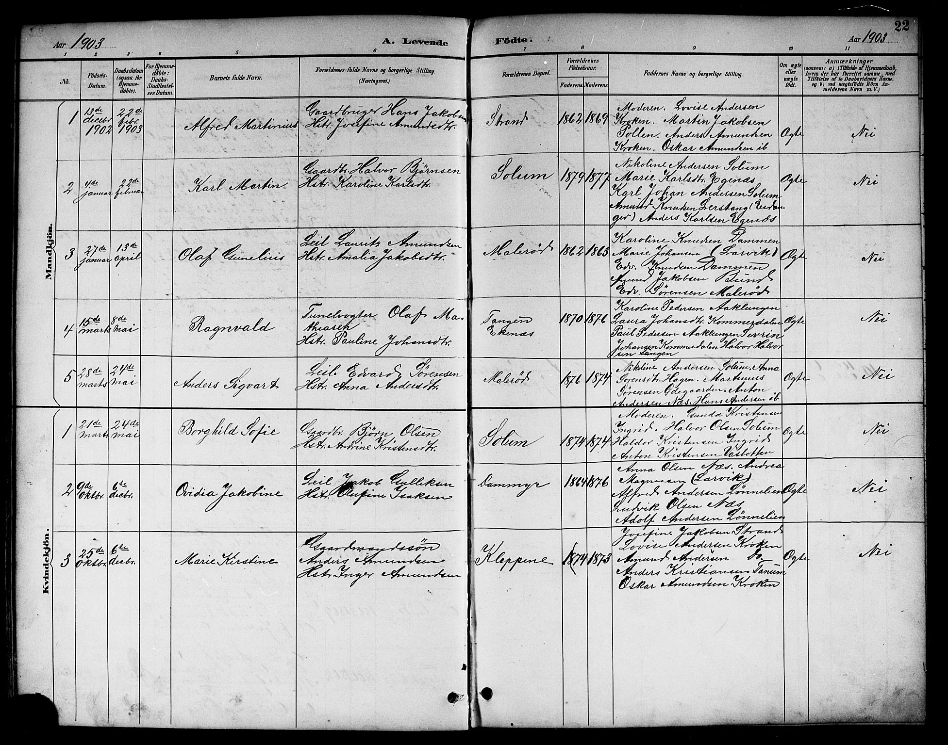 Brunlanes kirkebøker, AV/SAKO-A-342/G/Gc/L0002: Parish register (copy) no. III 2, 1891-1922, p. 22