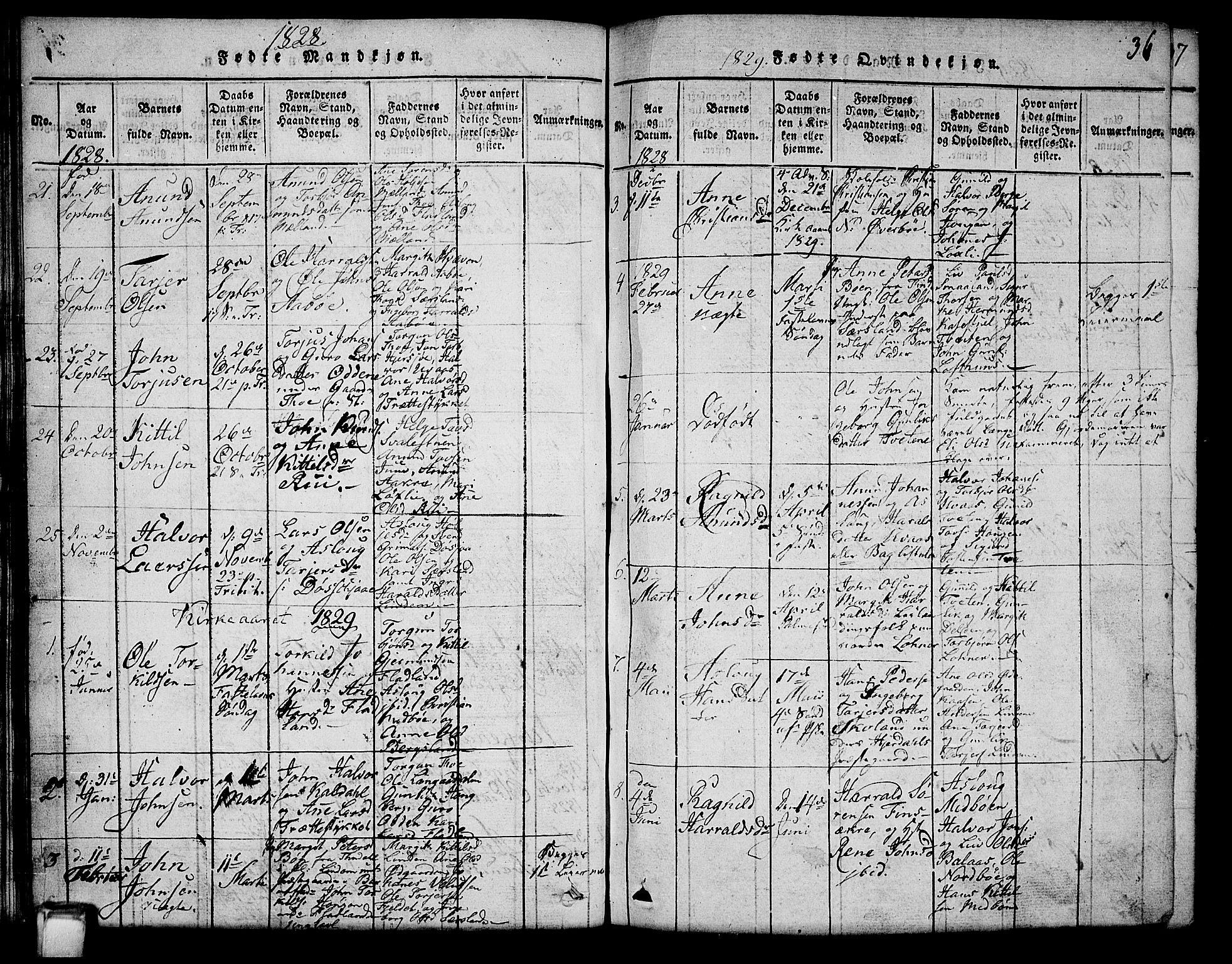 Hjartdal kirkebøker, SAKO/A-270/G/Ga/L0001: Parish register (copy) no. I 1, 1815-1842, p. 36