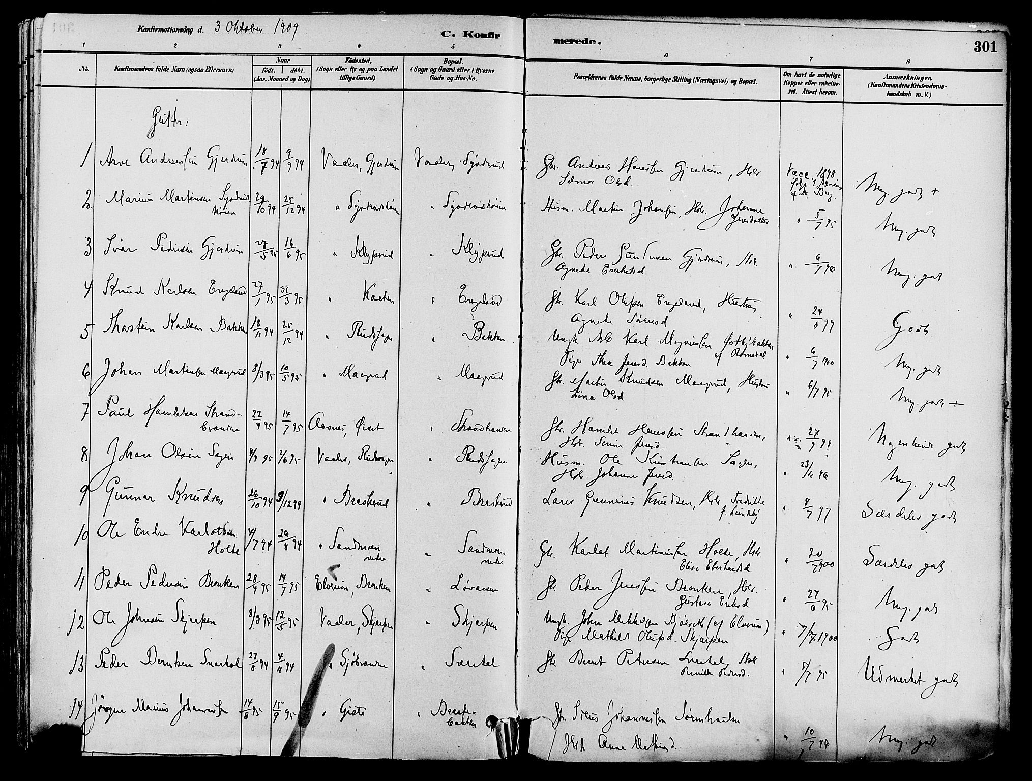 Våler prestekontor, Hedmark, AV/SAH-PREST-040/H/Ha/Haa/L0002: Parish register (official) no. 3, 1879-1911, p. 301