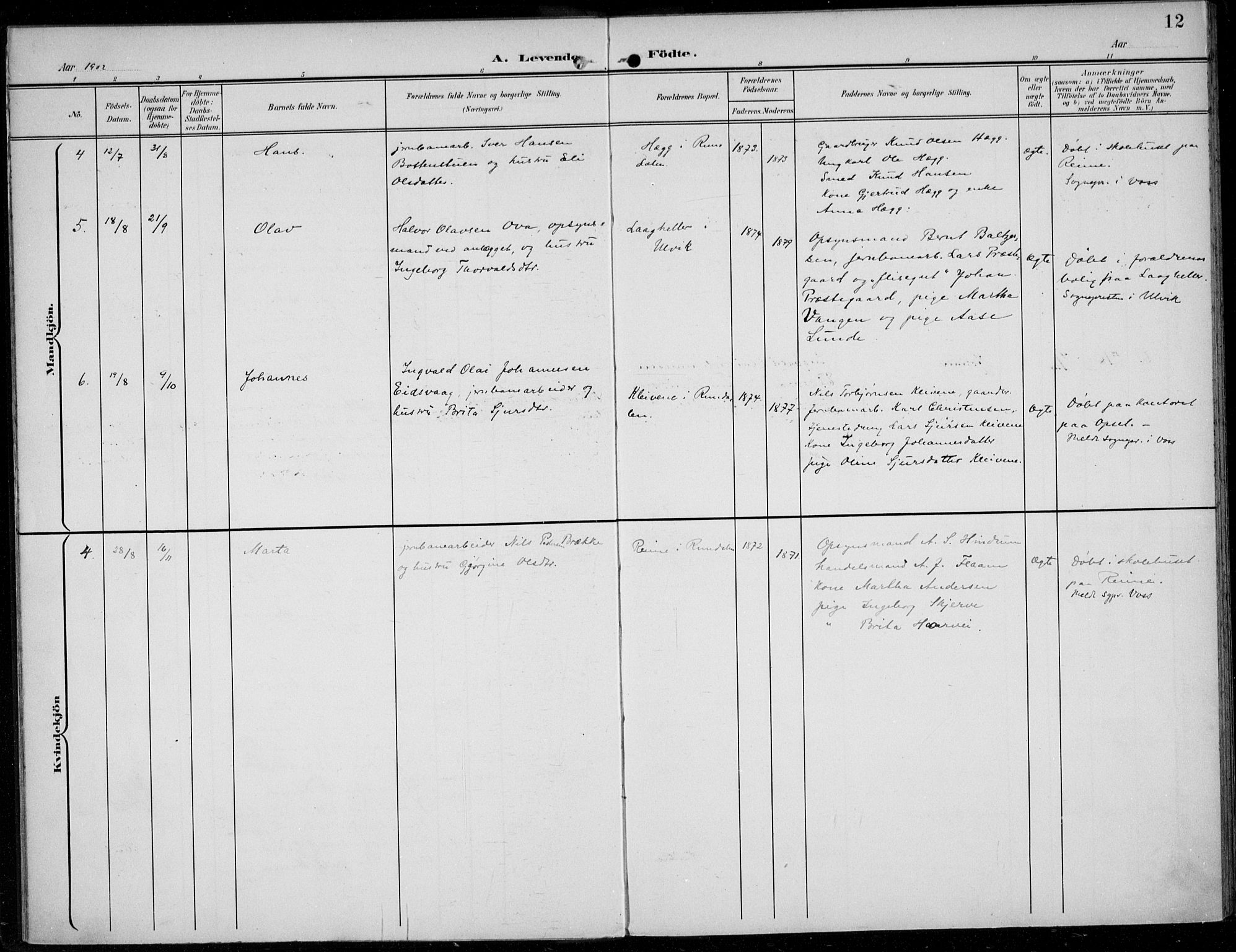 Parish register (official) no. A  1, 1900-1939, p. 12