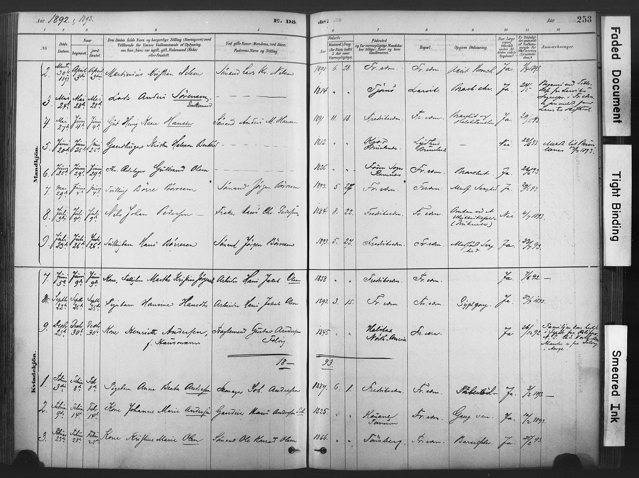 Stavern kirkebøker, AV/SAKO-A-318/F/Fa/L0008: Parish register (official) no. 8, 1878-1905, p. 253