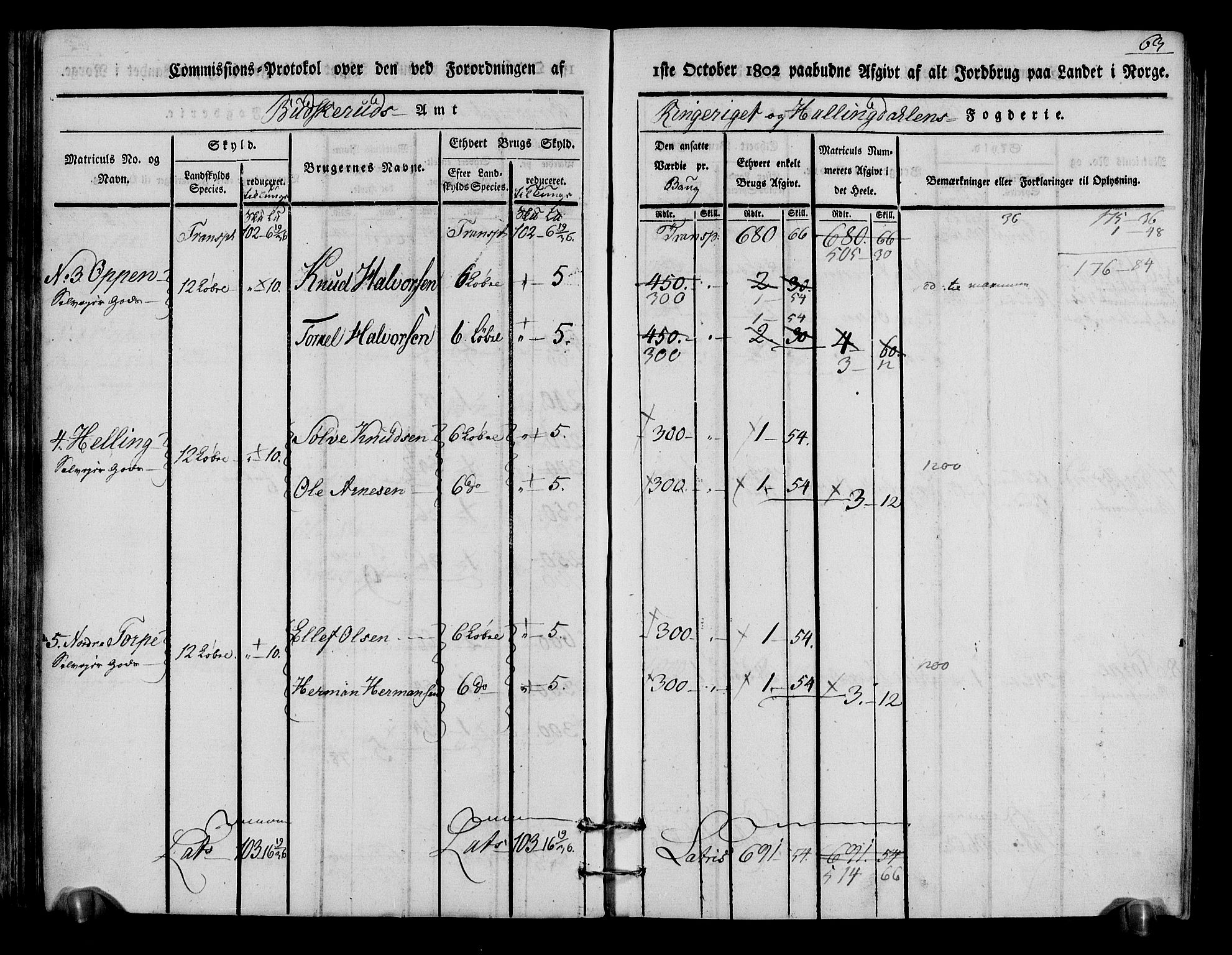 Rentekammeret inntil 1814, Realistisk ordnet avdeling, RA/EA-4070/N/Ne/Nea/L0048: Ringerike og Hallingdal fogderi. Kommisjonsprotokoll for Ål prestegjeld, 1803, p. 67