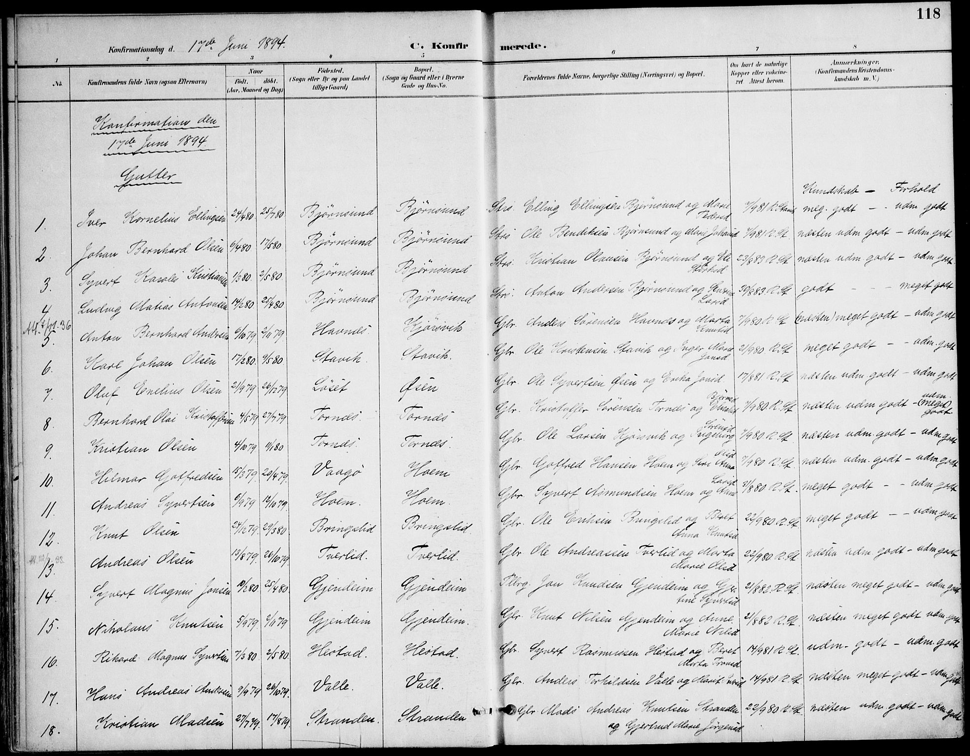 Ministerialprotokoller, klokkerbøker og fødselsregistre - Møre og Romsdal, AV/SAT-A-1454/565/L0750: Parish register (official) no. 565A04, 1887-1905, p. 118