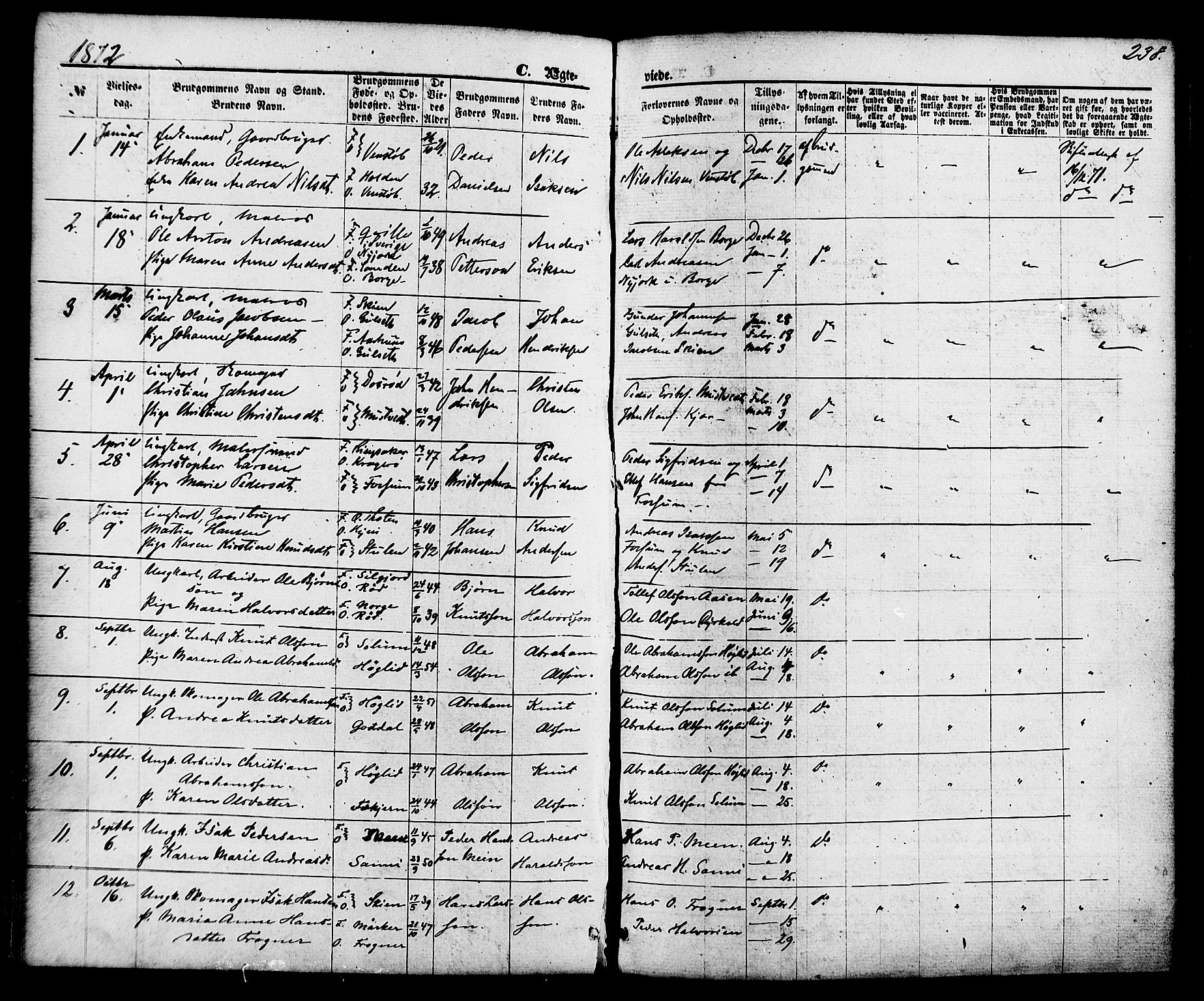 Gjerpen kirkebøker, AV/SAKO-A-265/F/Fa/L0009: Parish register (official) no. I 9, 1872-1885, p. 238