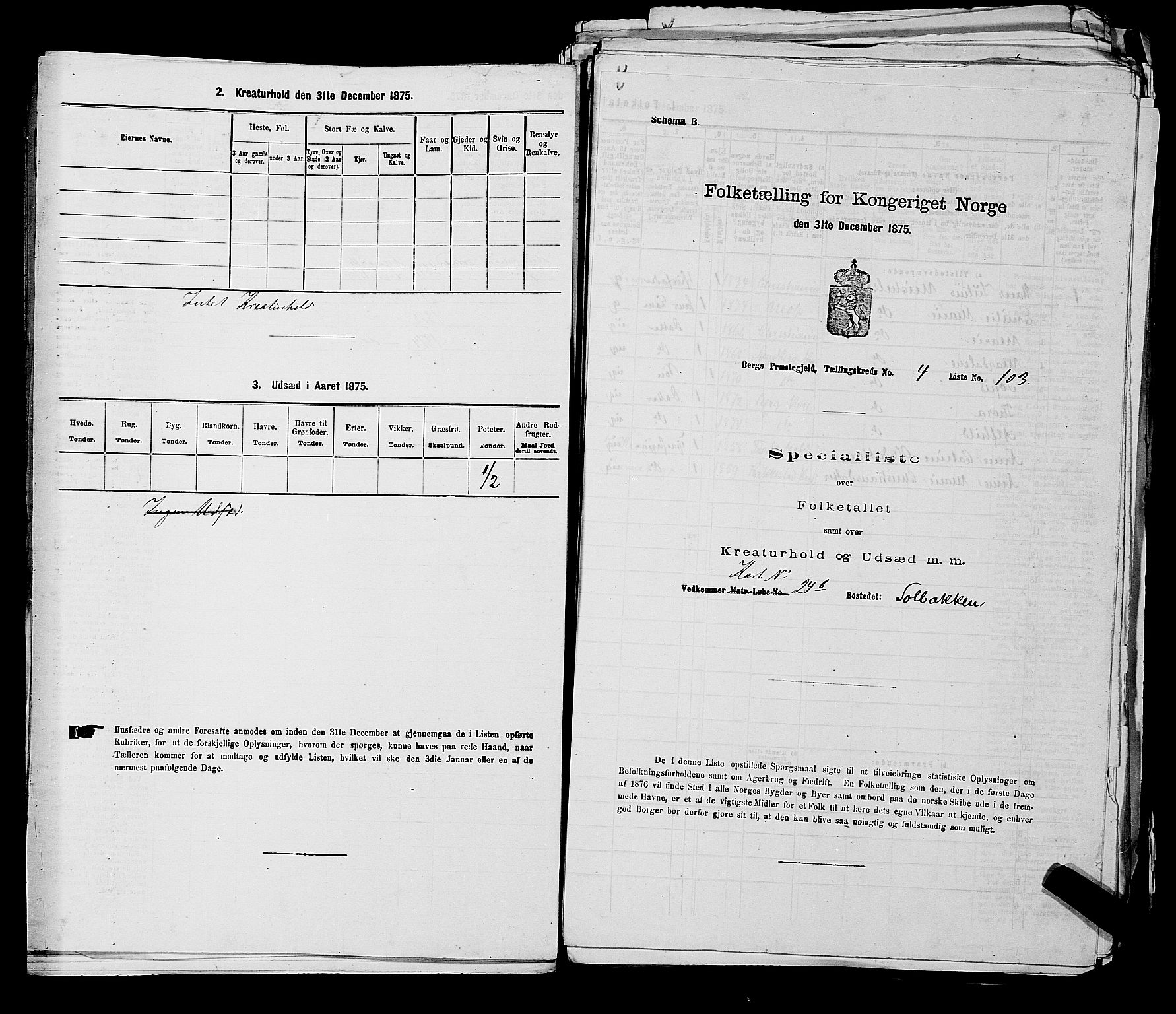 RA, 1875 census for 0116P Berg, 1875, p. 521