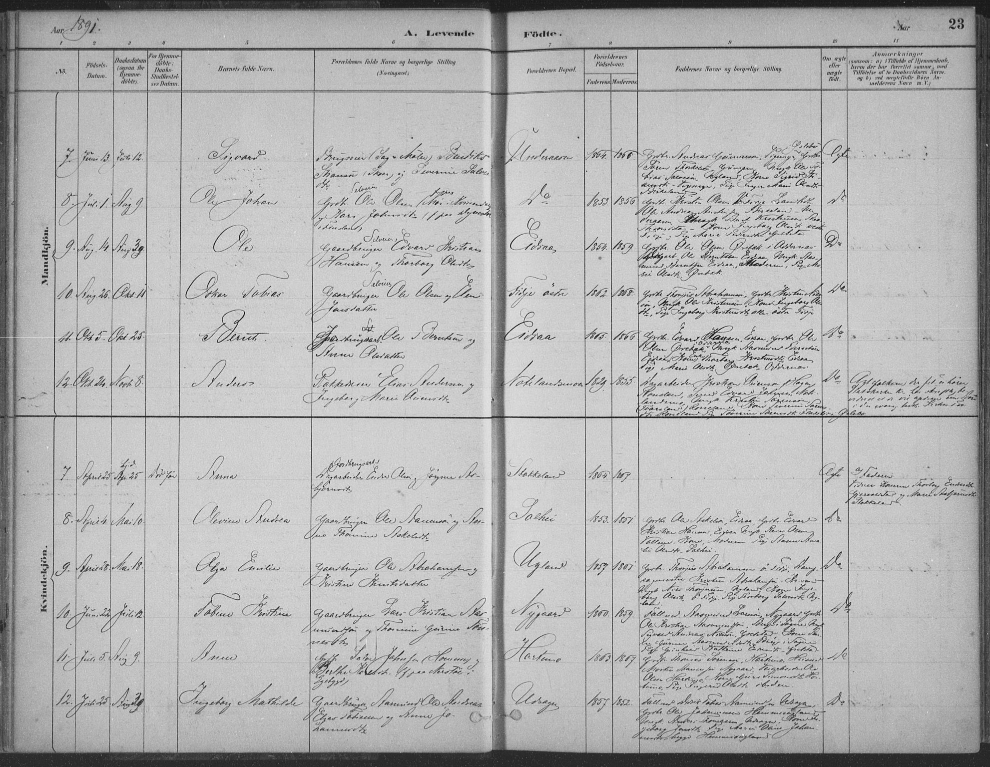 Søgne sokneprestkontor, AV/SAK-1111-0037/F/Fa/Faa/L0003: Parish register (official) no. A 3, 1883-1910, p. 23