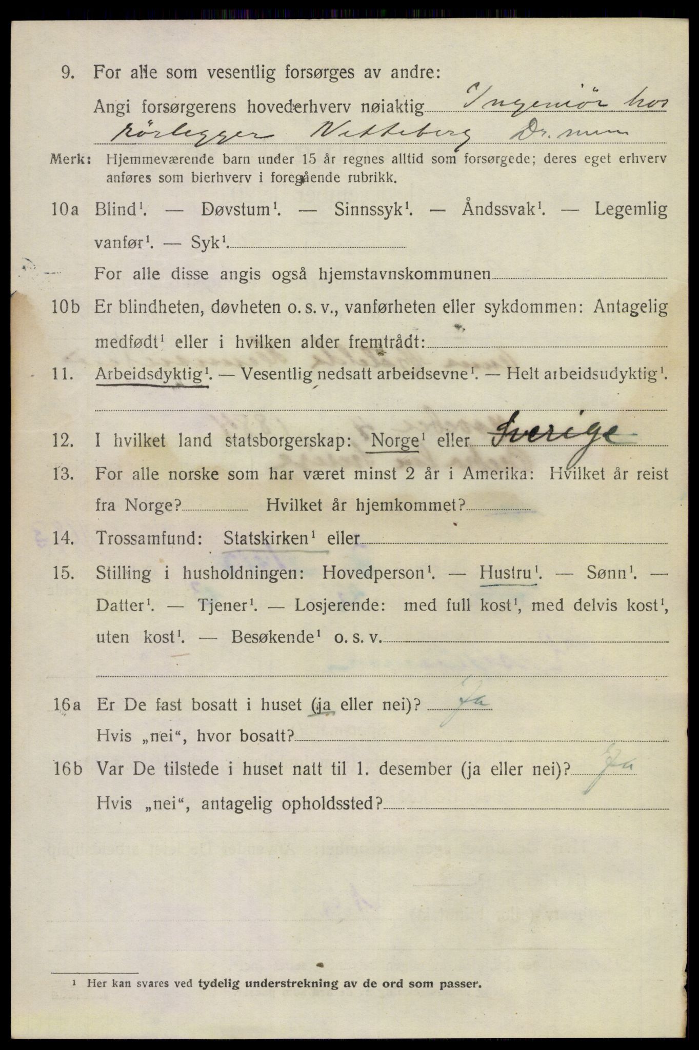 SAKO, 1920 census for Lier, 1920, p. 15091