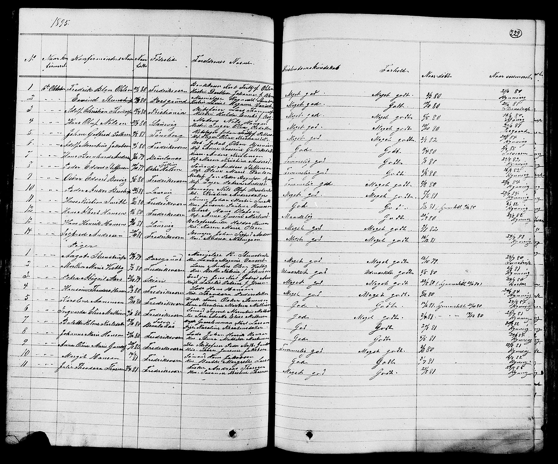 Stavern kirkebøker, AV/SAKO-A-318/G/Ga/L0002: Parish register (copy) no. 2, 1839-1909, p. 229