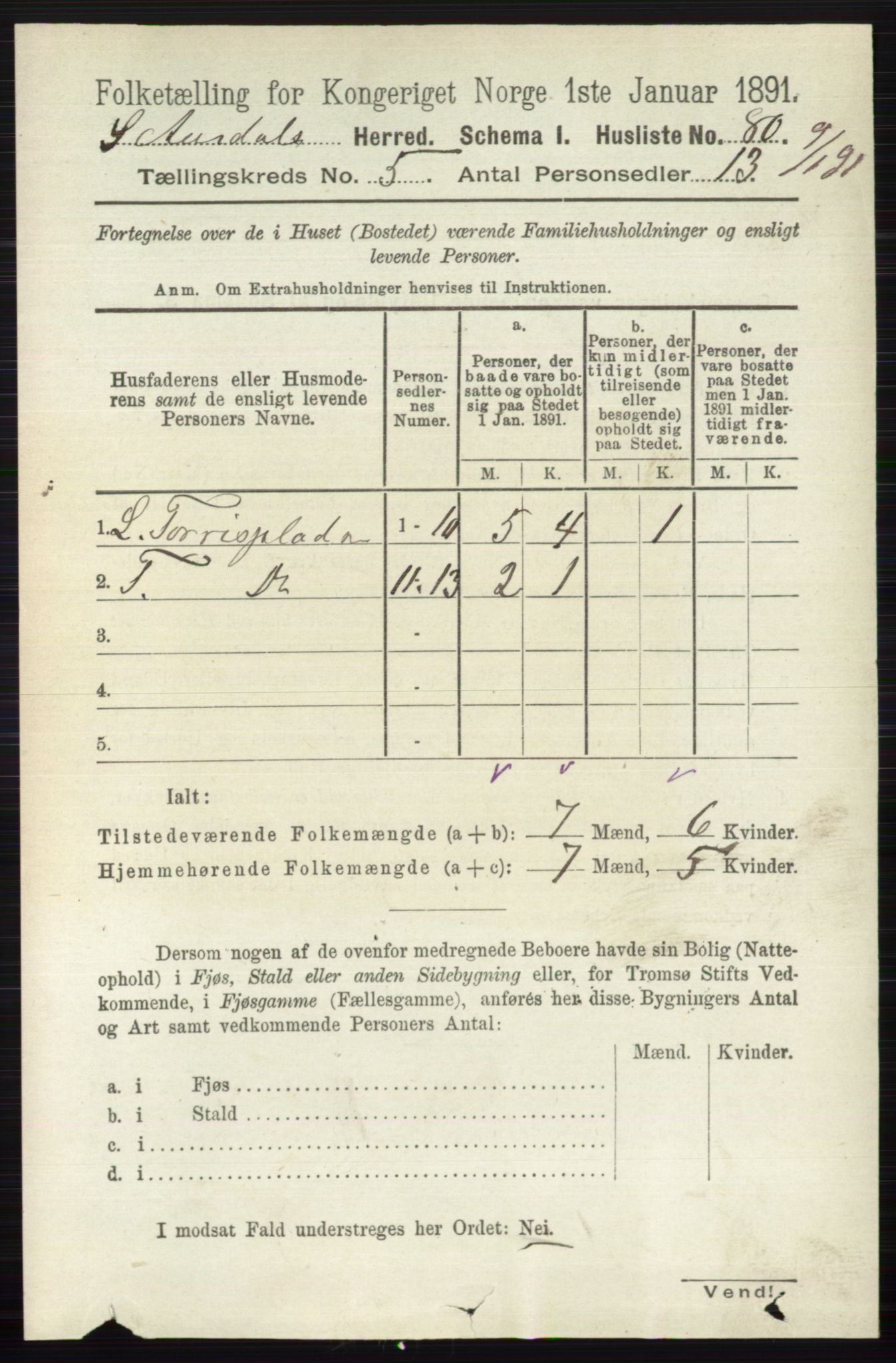 RA, 1891 census for 0540 Sør-Aurdal, 1891, p. 3153