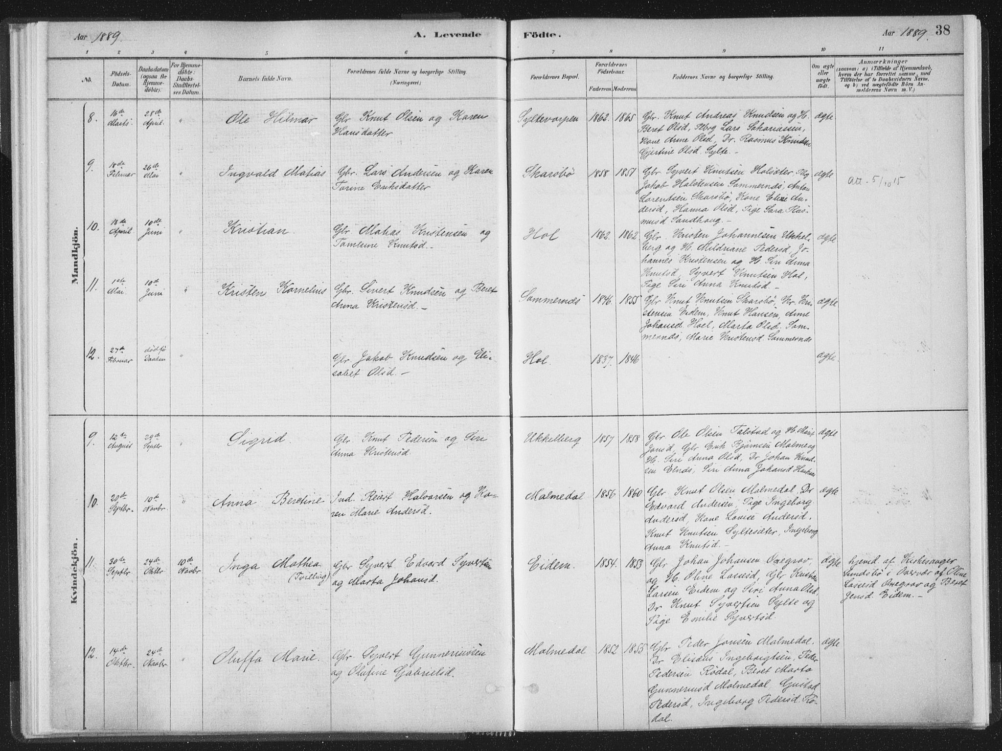 Ministerialprotokoller, klokkerbøker og fødselsregistre - Møre og Romsdal, AV/SAT-A-1454/564/L0740: Parish register (official) no. 564A01, 1880-1899, p. 38