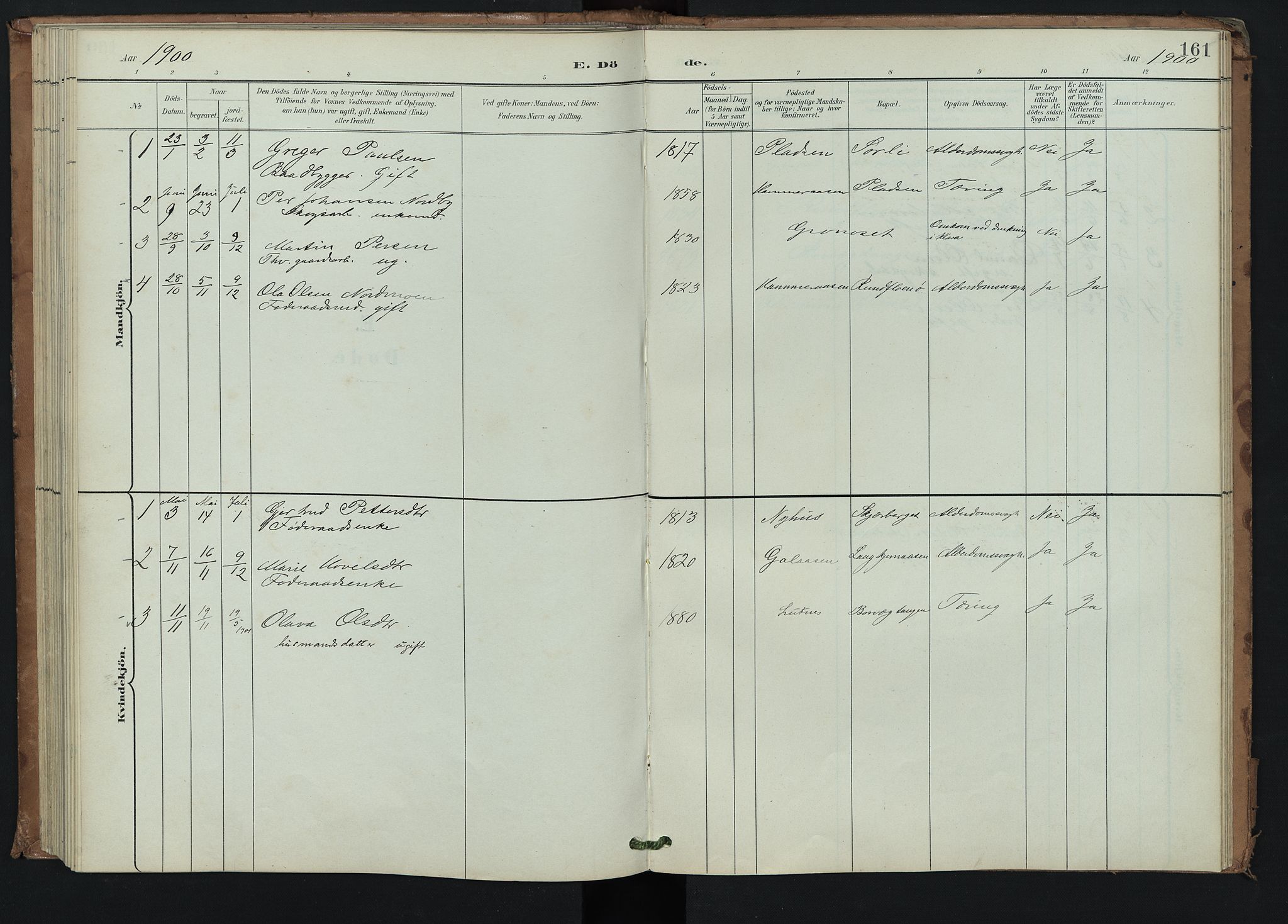 Trysil prestekontor, AV/SAH-PREST-046/H/Ha/Hab/L0008: Parish register (copy) no. 8, 1900-1950, p. 161