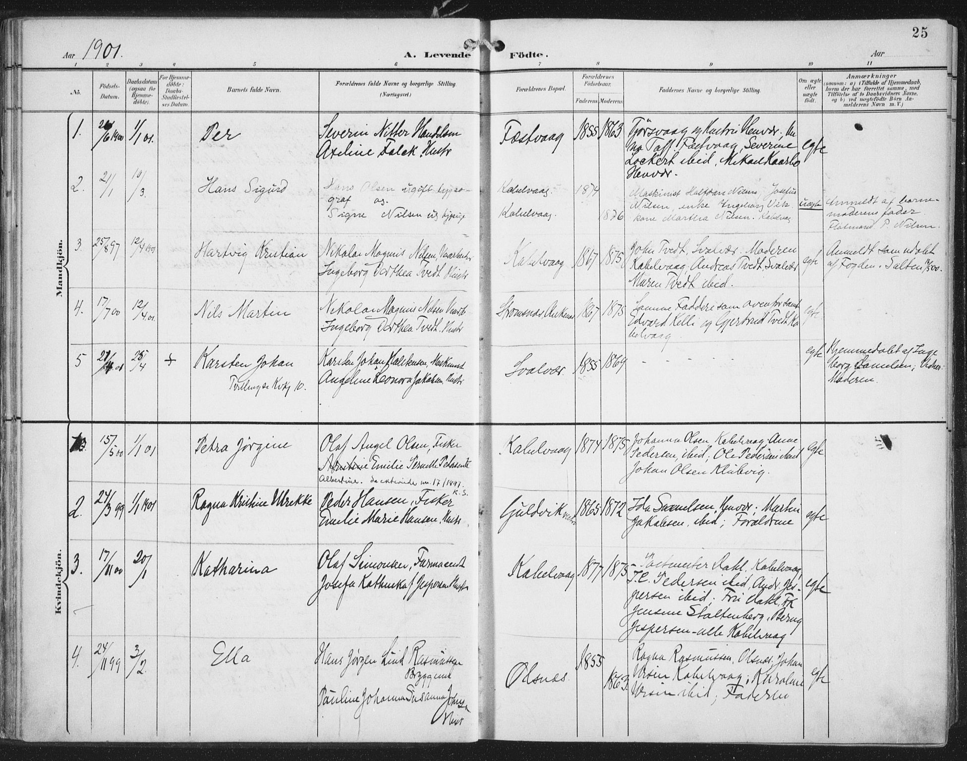 Ministerialprotokoller, klokkerbøker og fødselsregistre - Nordland, AV/SAT-A-1459/874/L1062: Parish register (official) no. 874A06, 1899-1907, p. 25