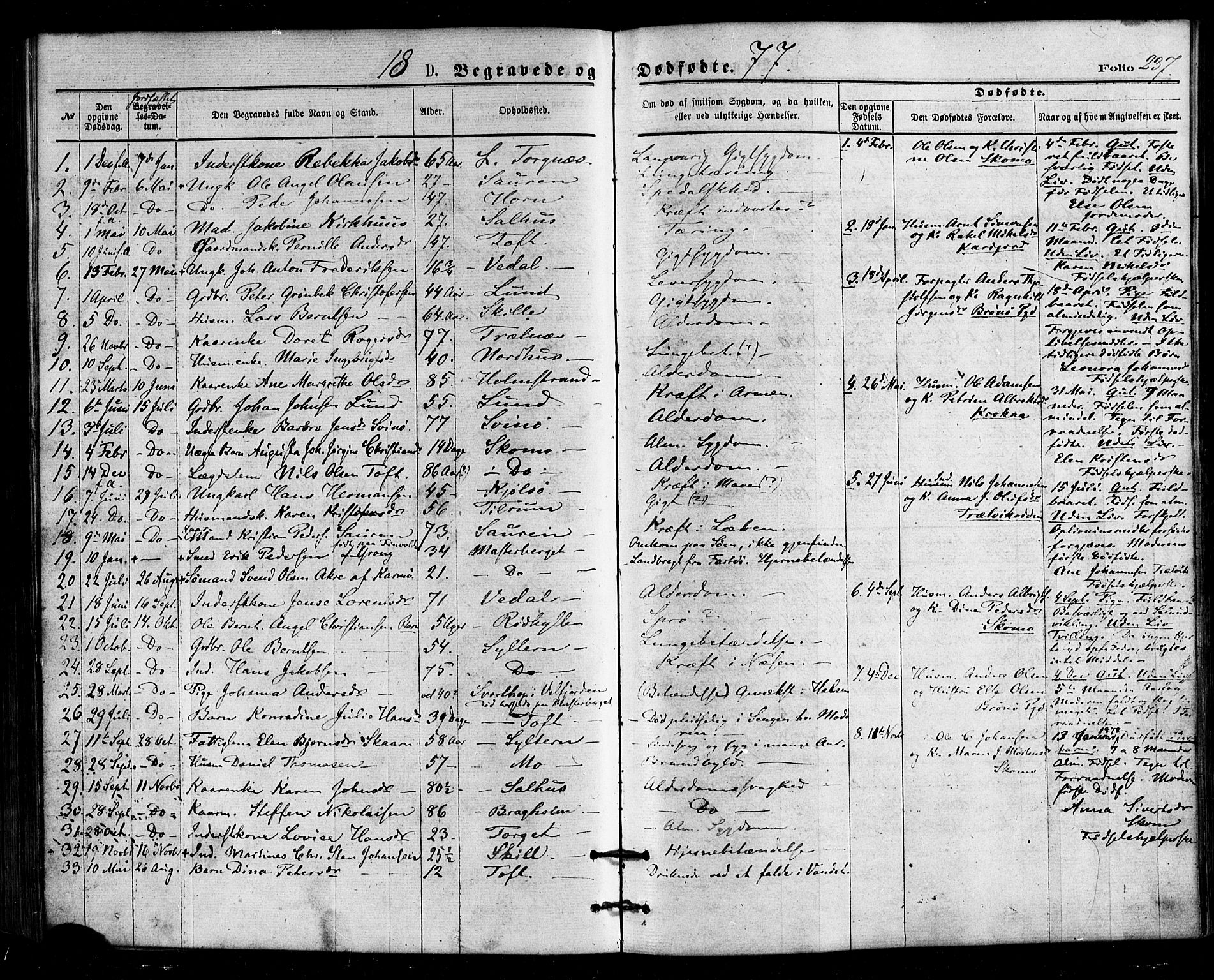 Ministerialprotokoller, klokkerbøker og fødselsregistre - Nordland, SAT/A-1459/813/L0199: Parish register (official) no. 813A09, 1875-1885, p. 237