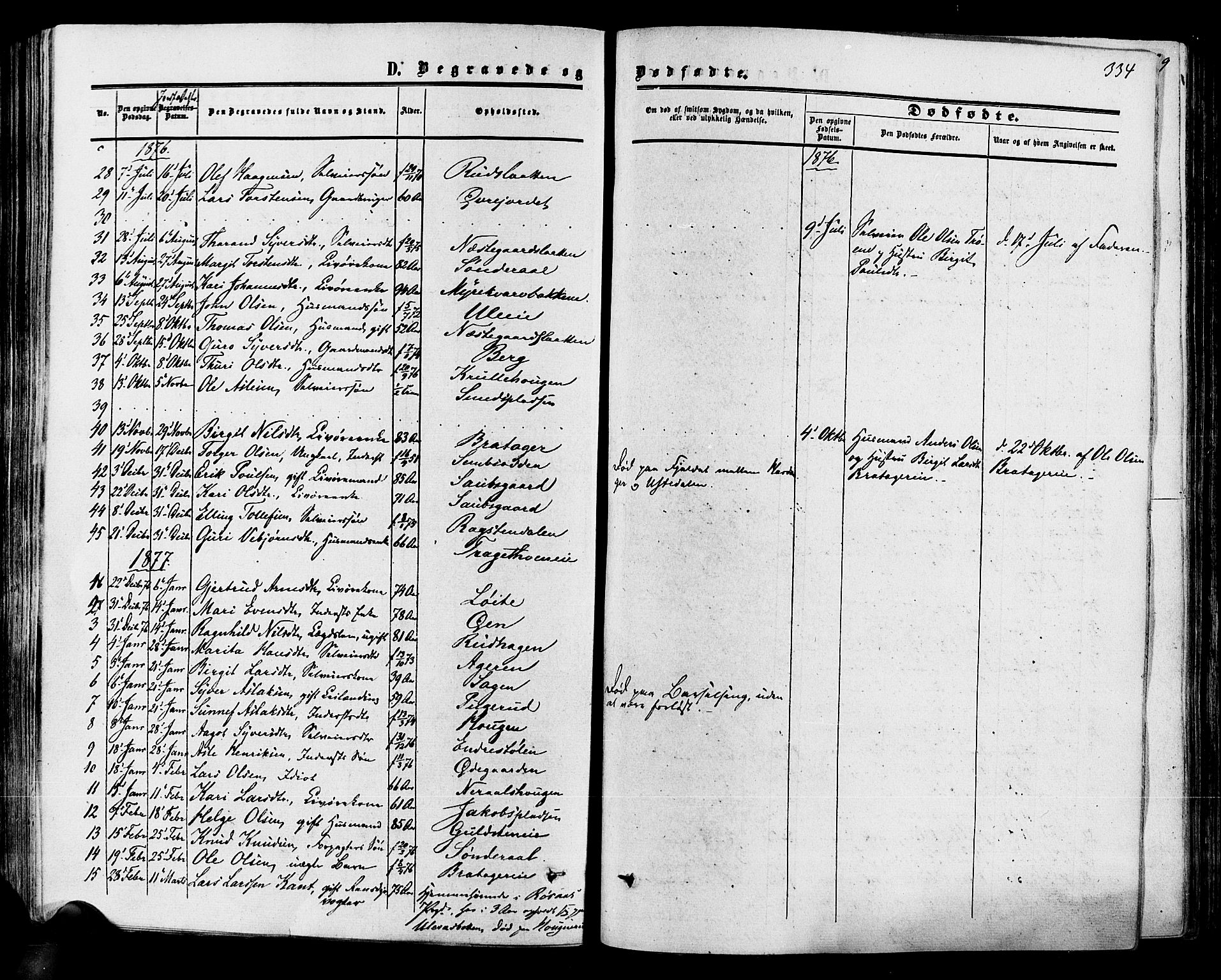 Hol kirkebøker, SAKO/A-227/F/Fa/L0002: Parish register (official) no. I 2, 1870-1886, p. 334