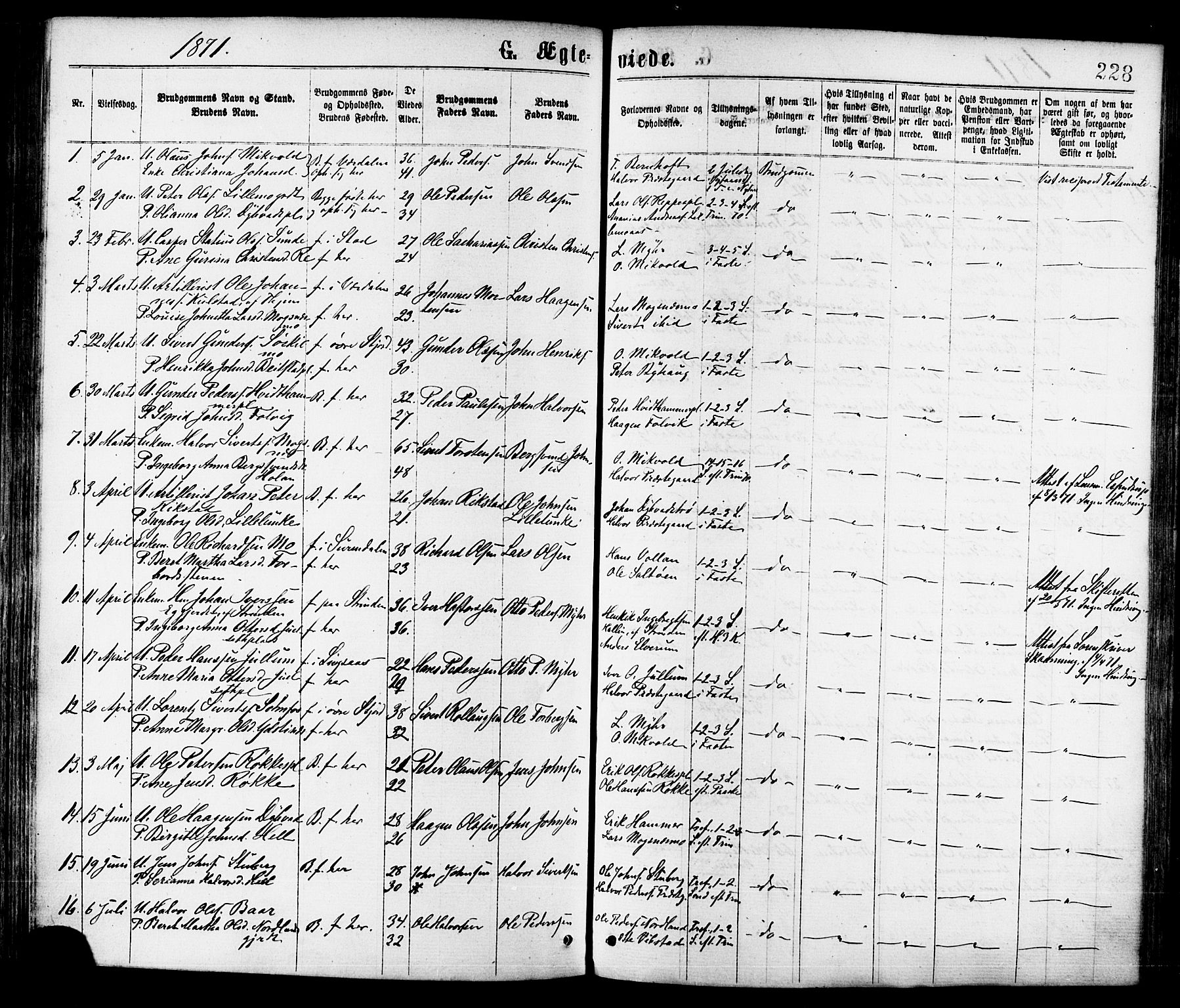 Ministerialprotokoller, klokkerbøker og fødselsregistre - Nord-Trøndelag, SAT/A-1458/709/L0076: Parish register (official) no. 709A16, 1871-1879, p. 228