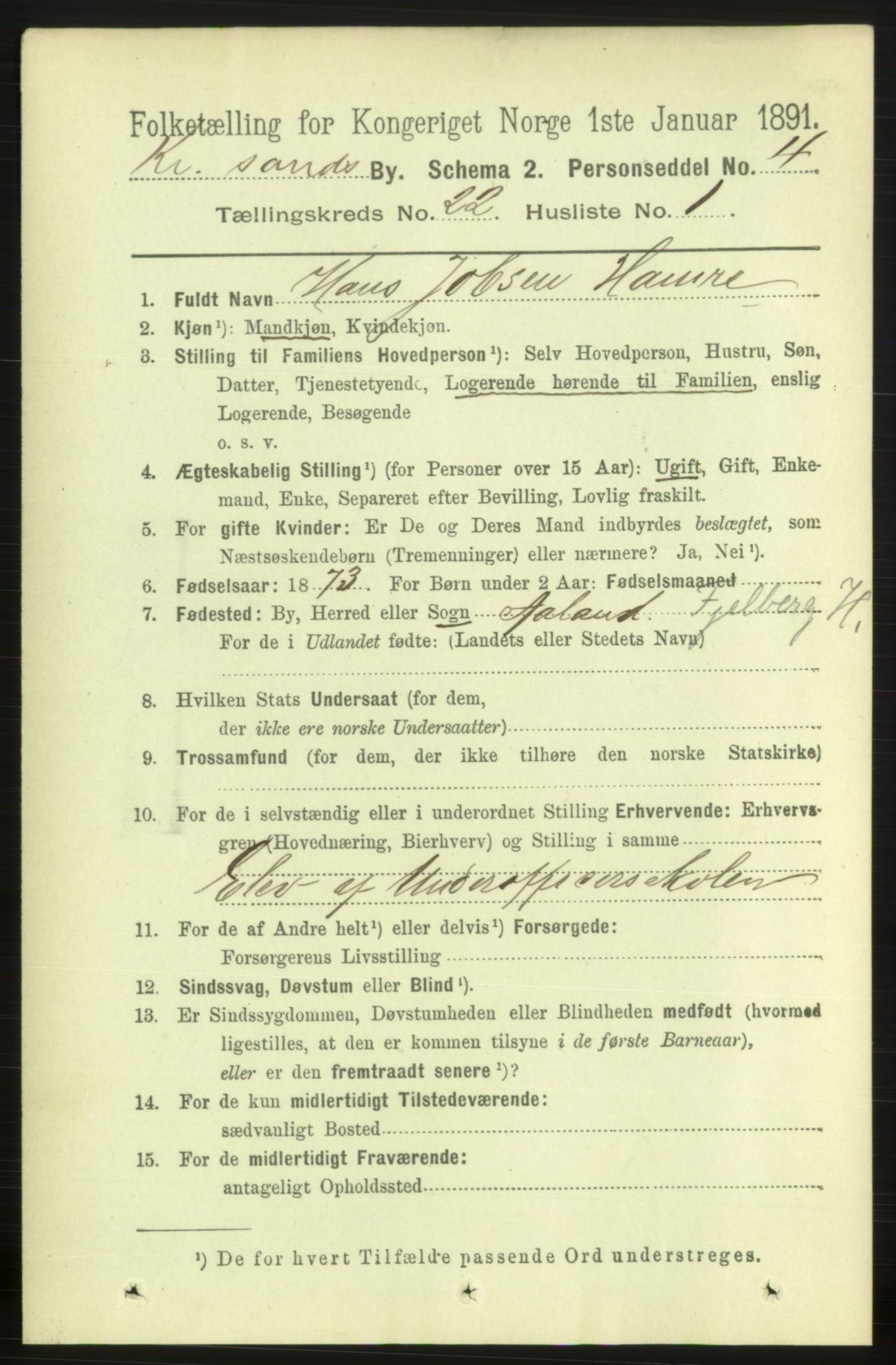 RA, 1891 census for 1001 Kristiansand, 1891, p. 8269