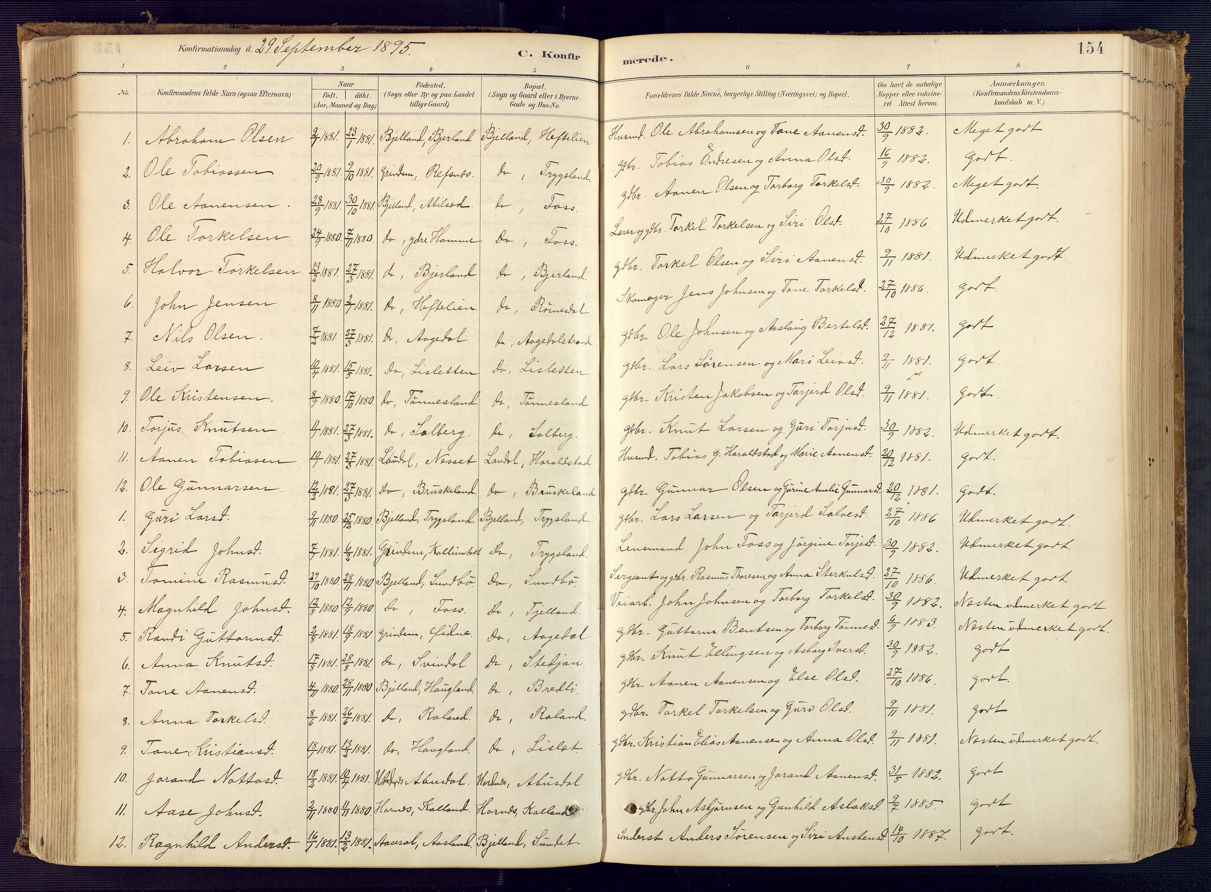 Bjelland sokneprestkontor, SAK/1111-0005/F/Fa/Faa/L0004: Parish register (official) no. A 4, 1887-1923, p. 154