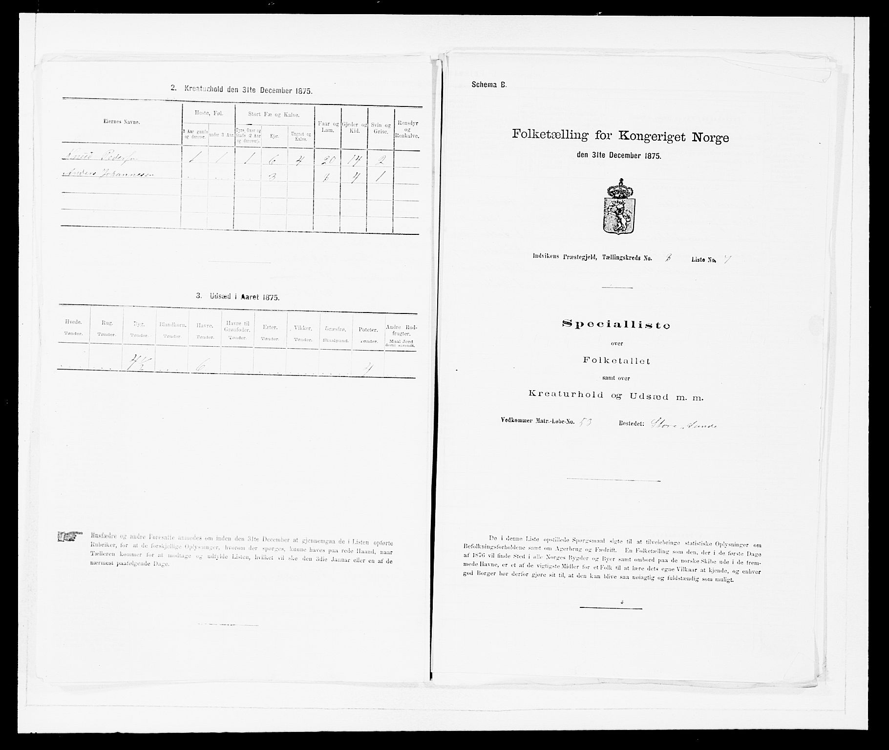 SAB, 1875 Census for 1447P Innvik, 1875, p. 907