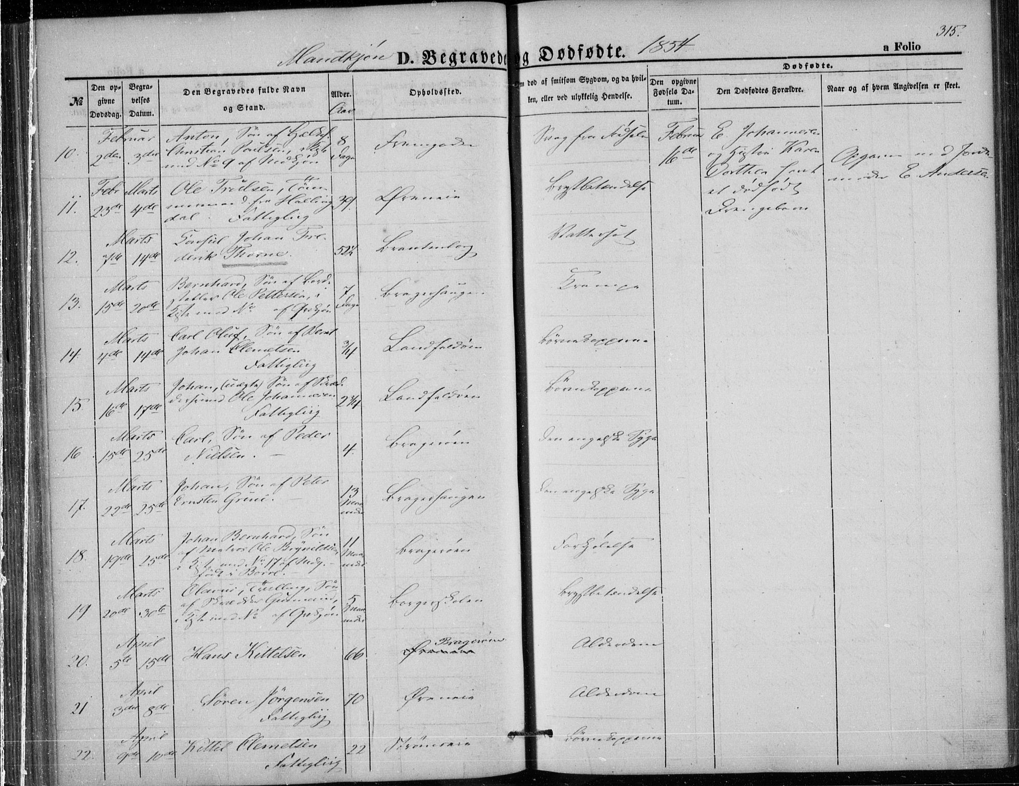 Bragernes kirkebøker, AV/SAKO-A-6/F/Fb/L0002: Parish register (official) no. II 2, 1848-1859, p. 315