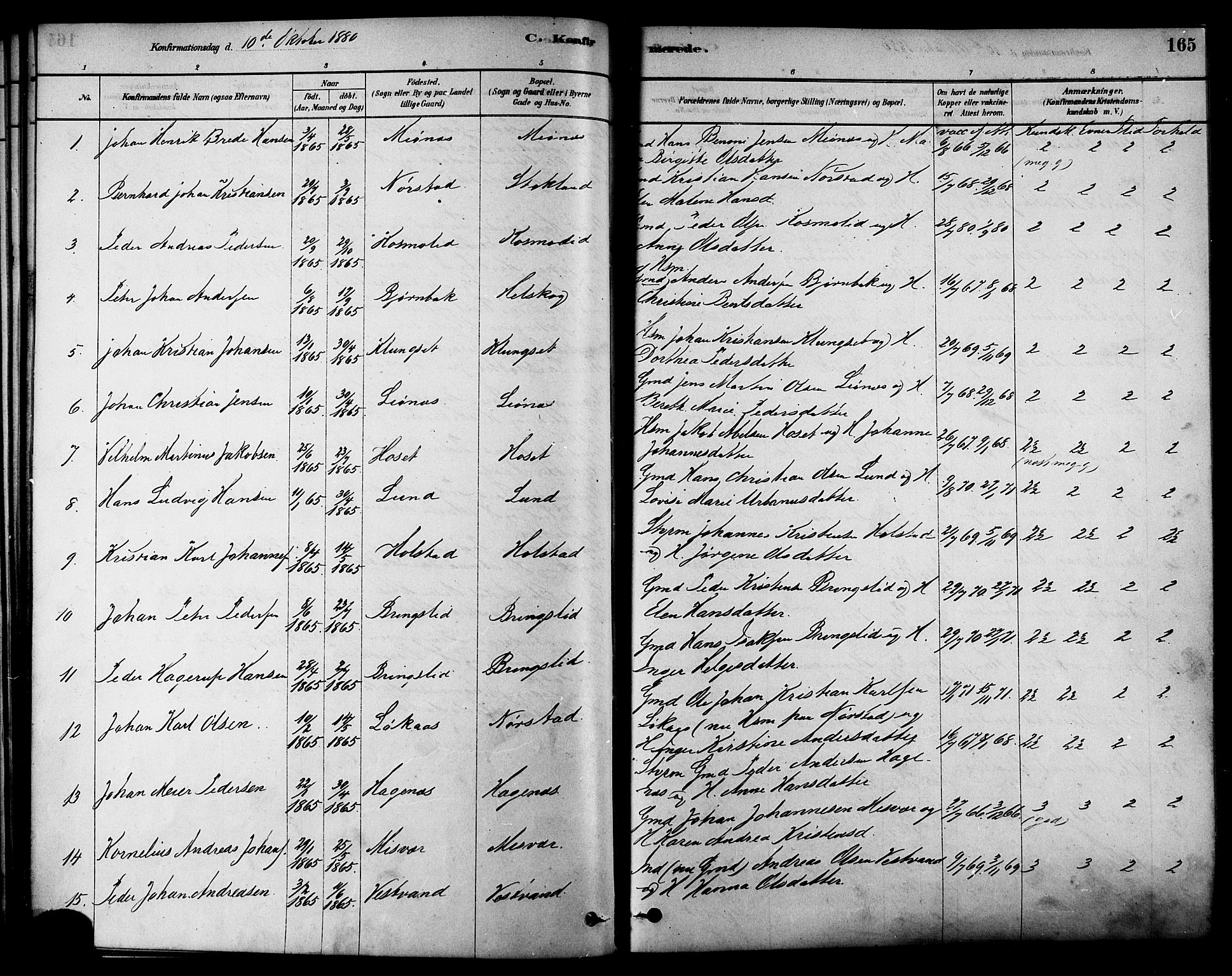 Ministerialprotokoller, klokkerbøker og fødselsregistre - Nordland, AV/SAT-A-1459/852/L0740: Parish register (official) no. 852A10, 1878-1894, p. 165