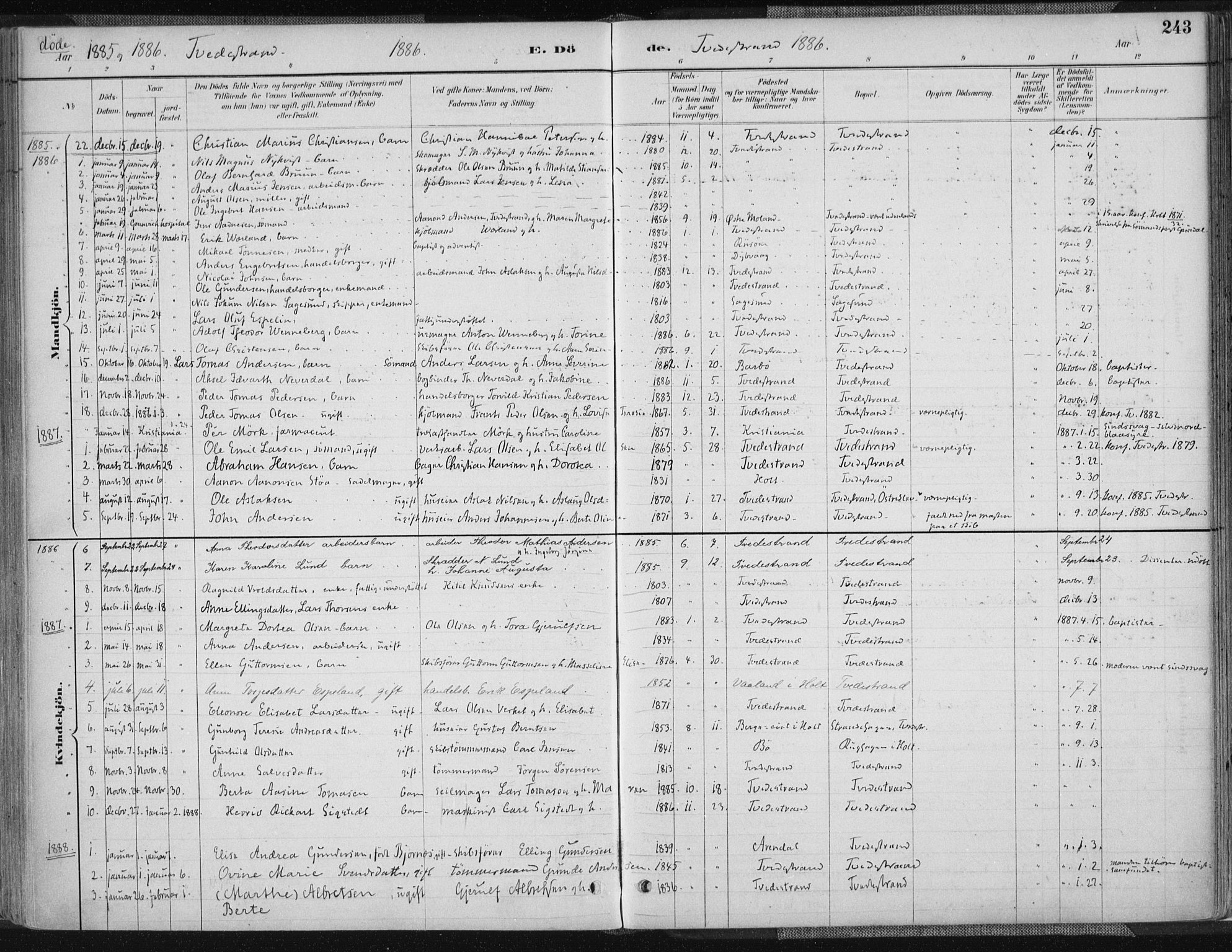 Tvedestrand sokneprestkontor, AV/SAK-1111-0042/F/Fa/L0001: Parish register (official) no. A 1, 1885-1916, p. 243