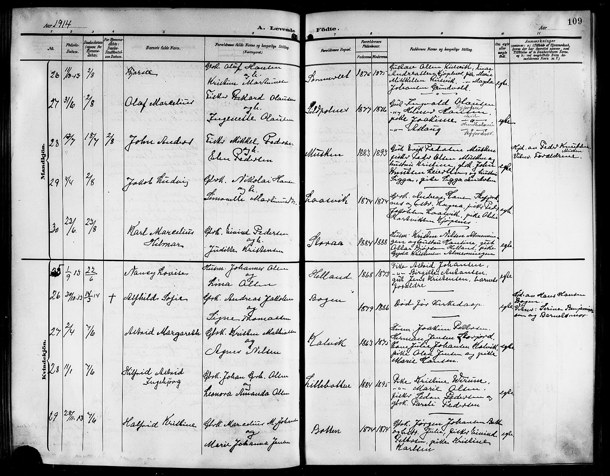 Ministerialprotokoller, klokkerbøker og fødselsregistre - Nordland, AV/SAT-A-1459/861/L0877: Parish register (copy) no. 861C03, 1903-1919, p. 109