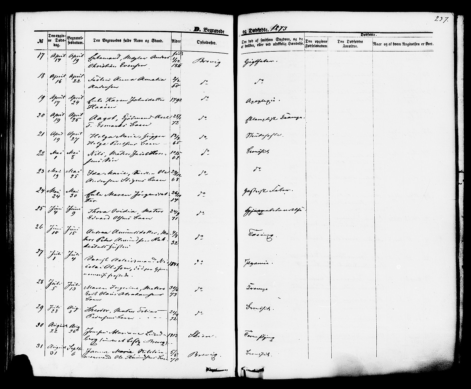Brevik kirkebøker, AV/SAKO-A-255/F/Fa/L0006: Parish register (official) no. 6, 1866-1881, p. 237