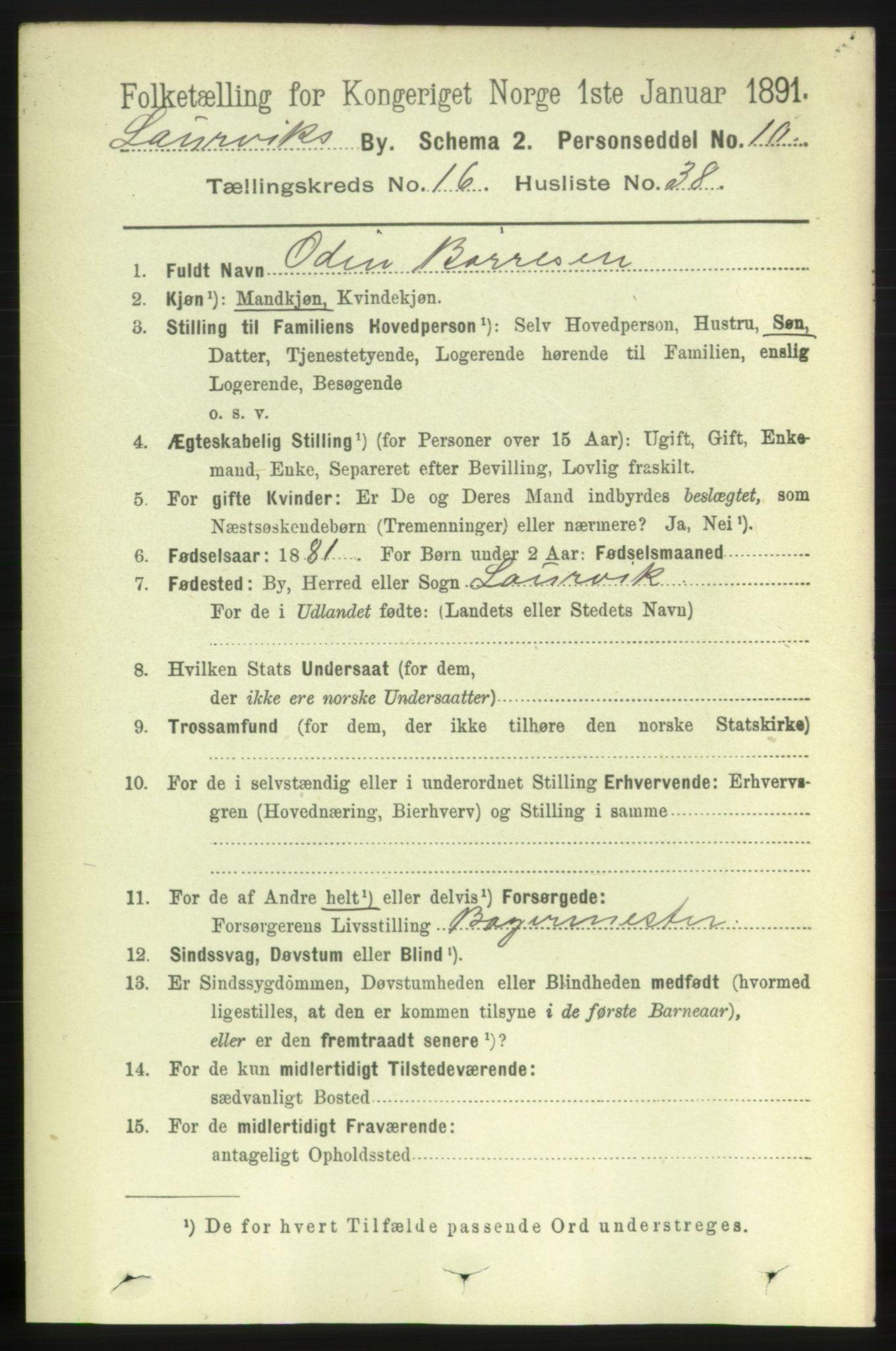 RA, 1891 census for 0707 Larvik, 1891, p. 11974