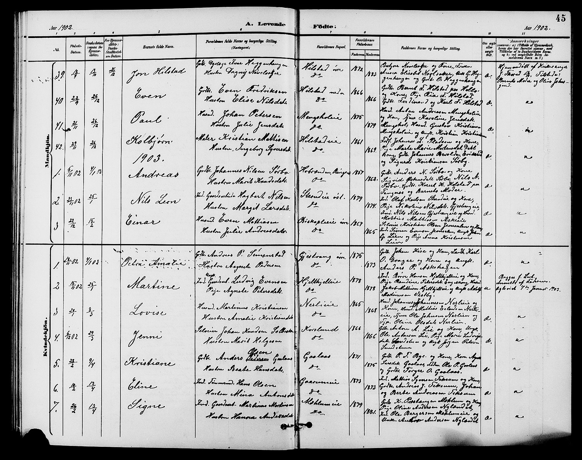 Nes prestekontor, Hedmark, AV/SAH-PREST-020/L/La/L0007: Parish register (copy) no. 7, 1892-1912, p. 45